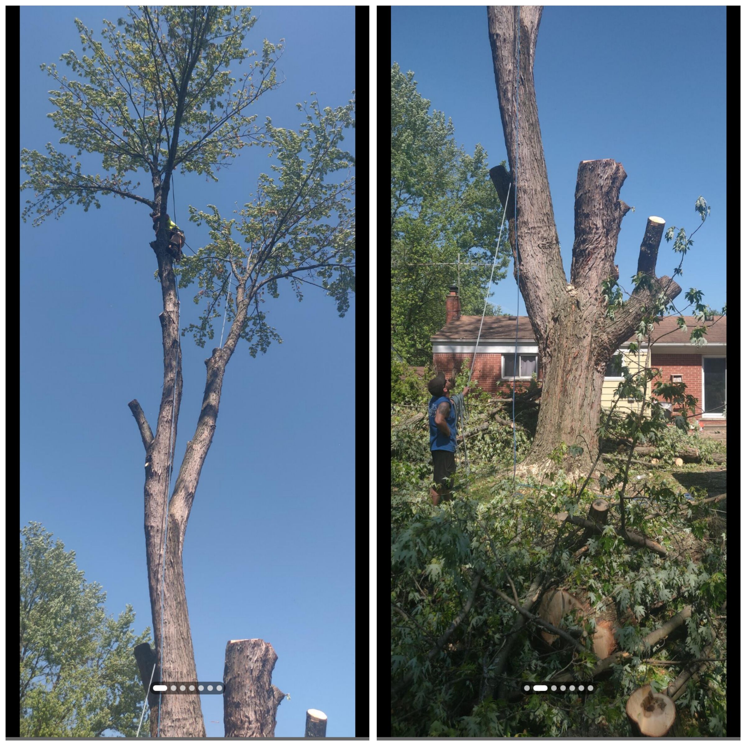 TTL SERVICES 's image