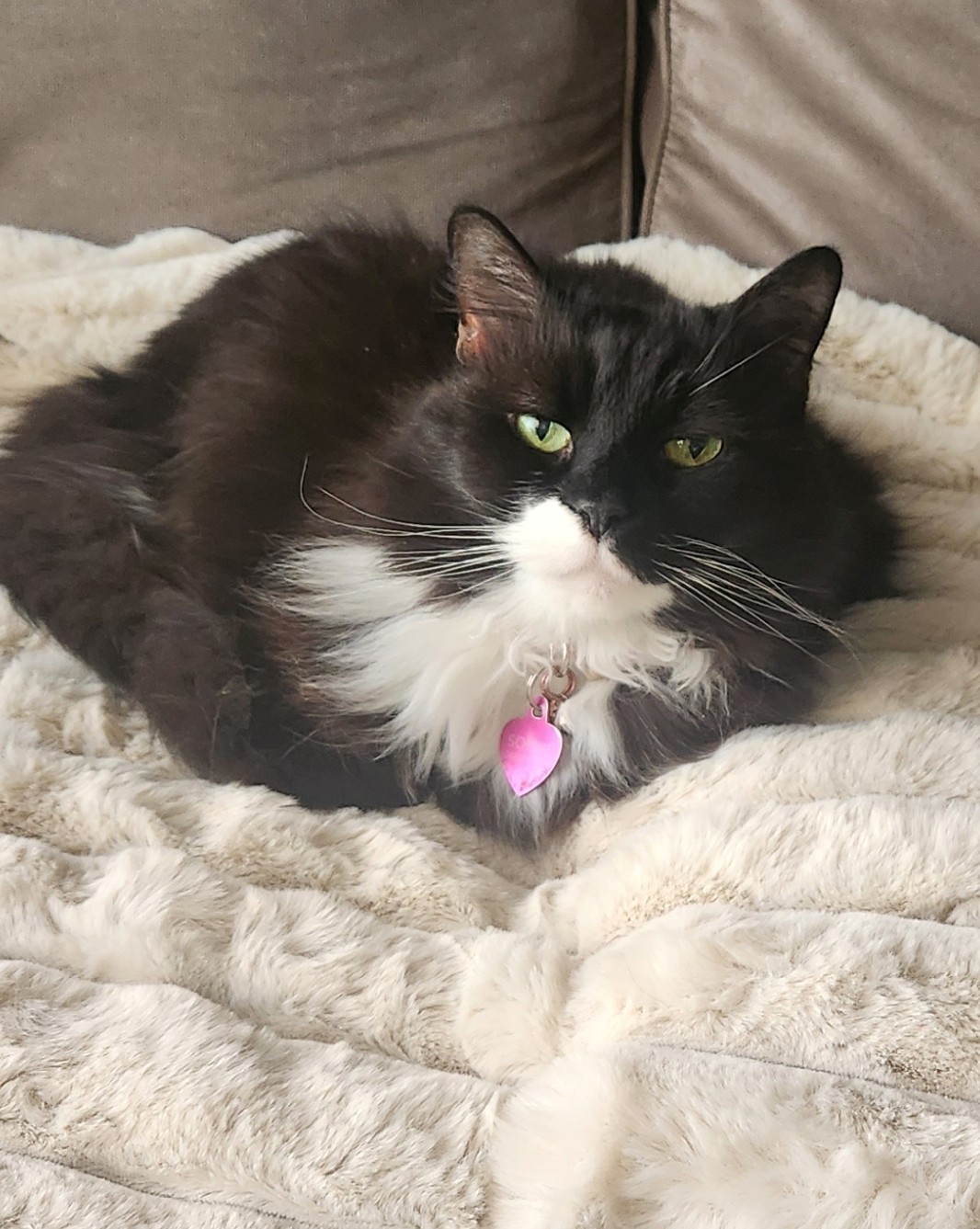 Annie Craven for Iowa's image