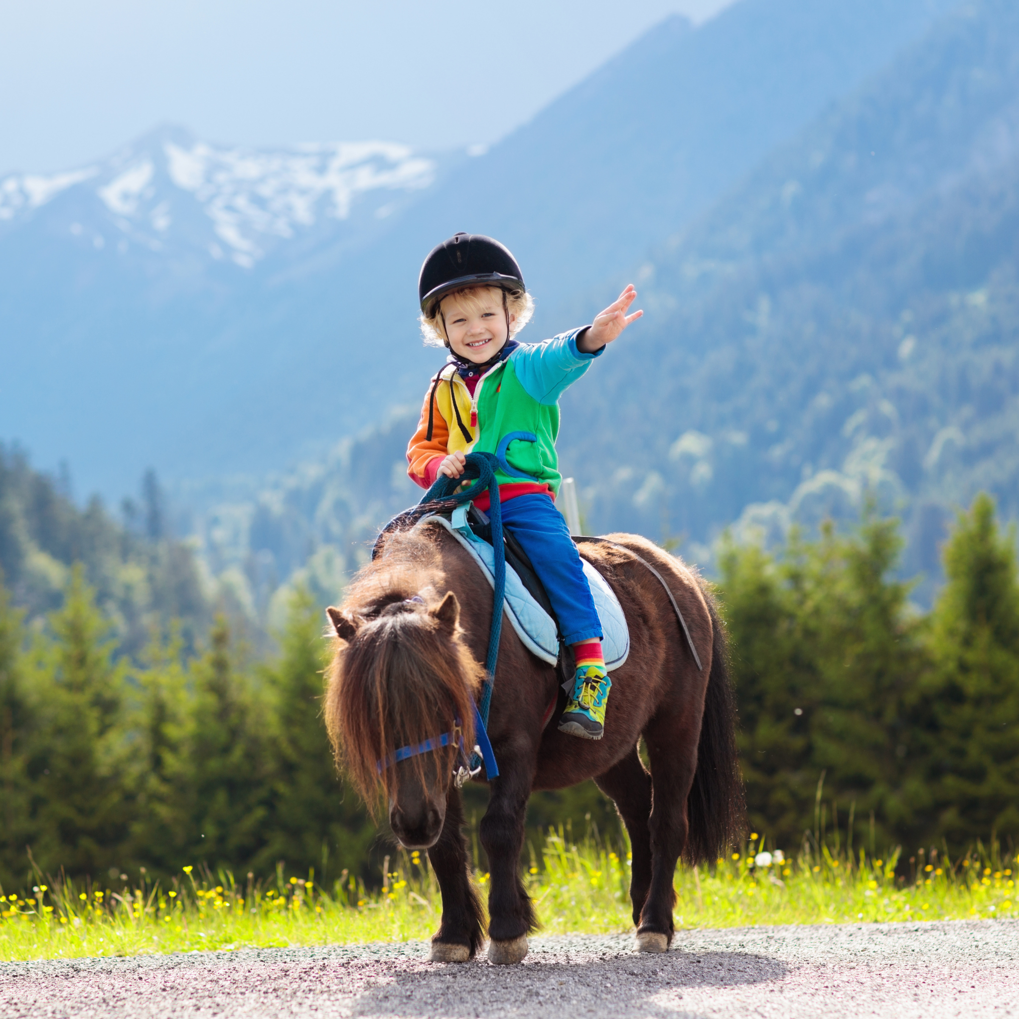 RPM Reit-und Pferdehof Mixdorf's image