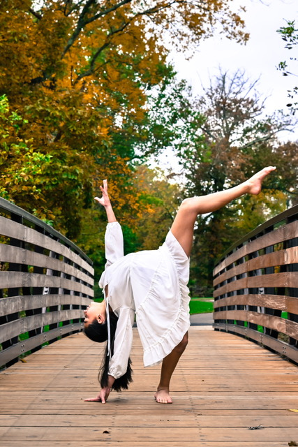 The Dance Axis's image