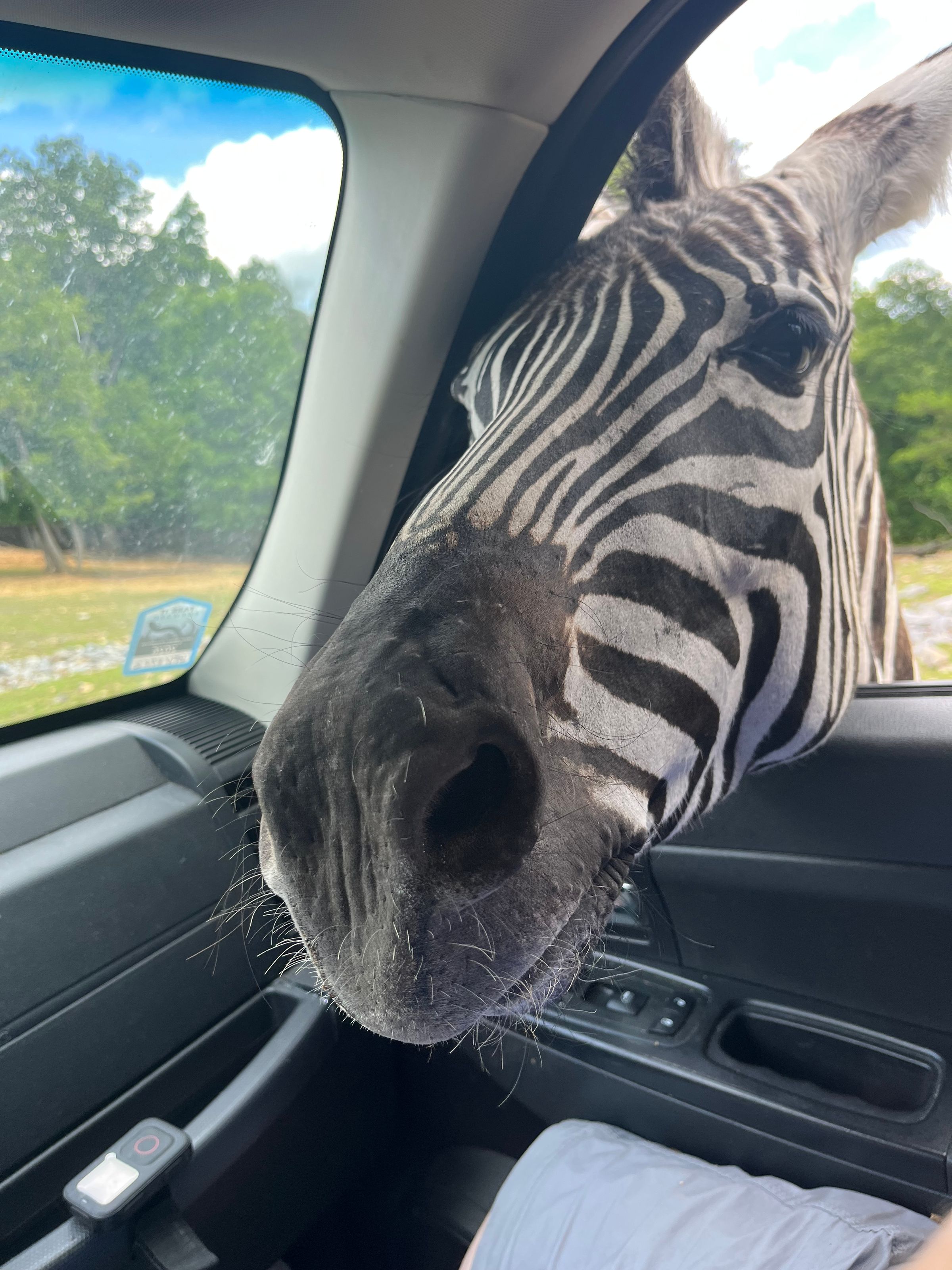 Briarwood Safari Park, Bybee TN