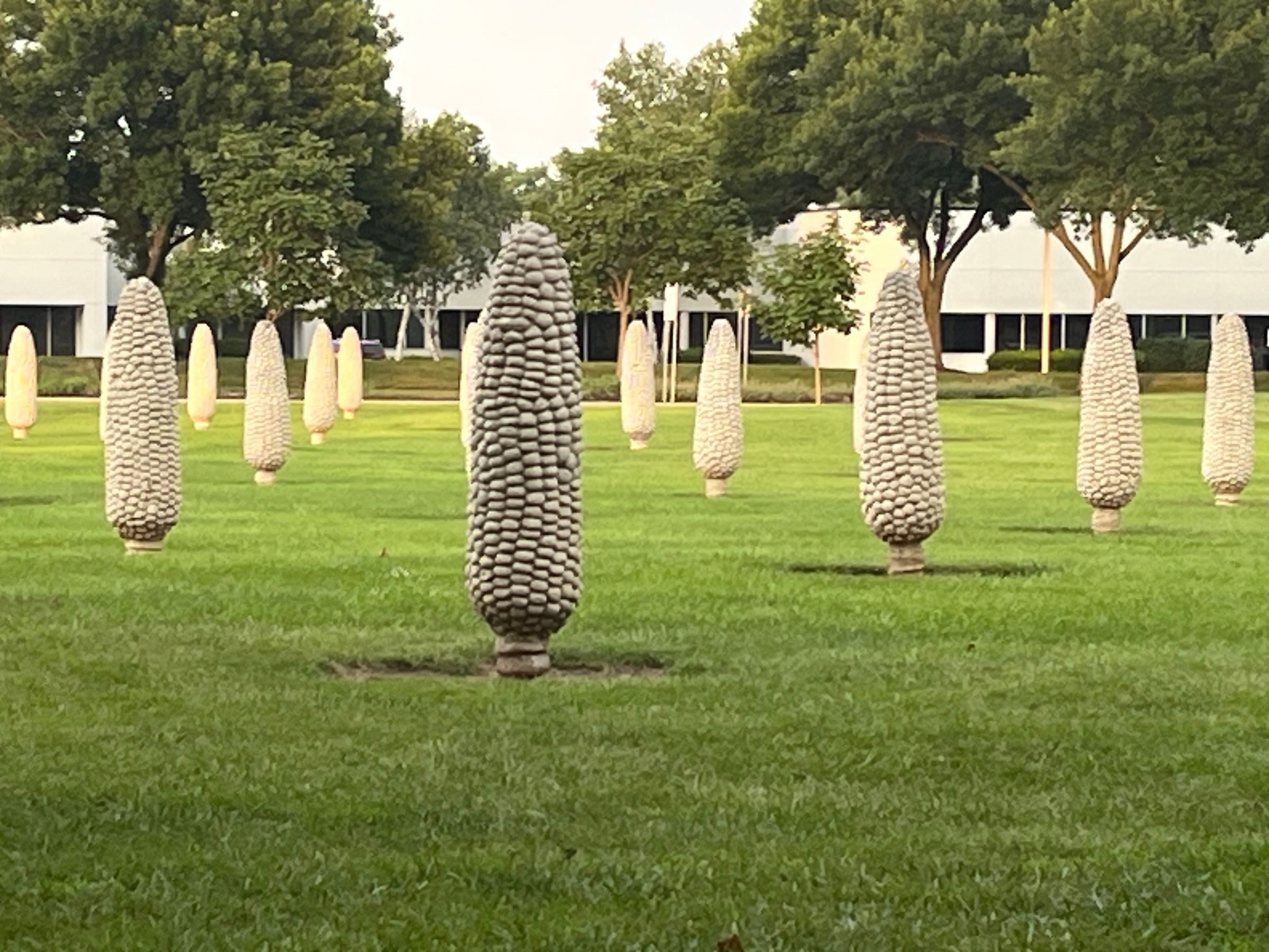 Cornhenge, Dublin Ohio