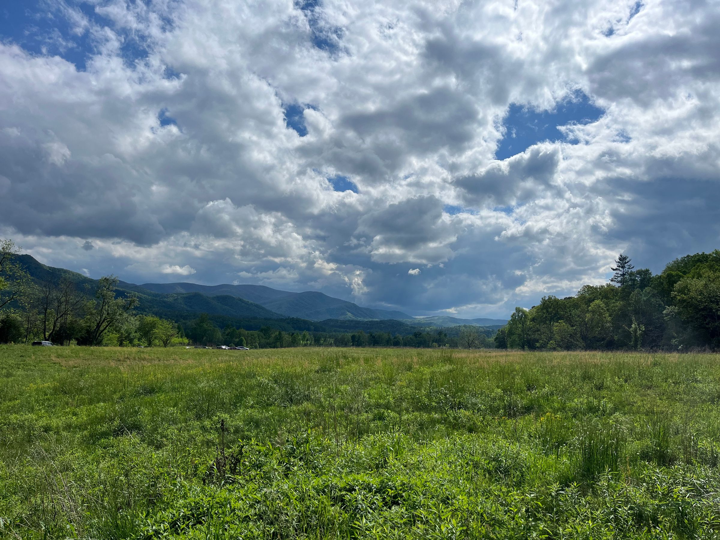 Cades Cove, GSMNP