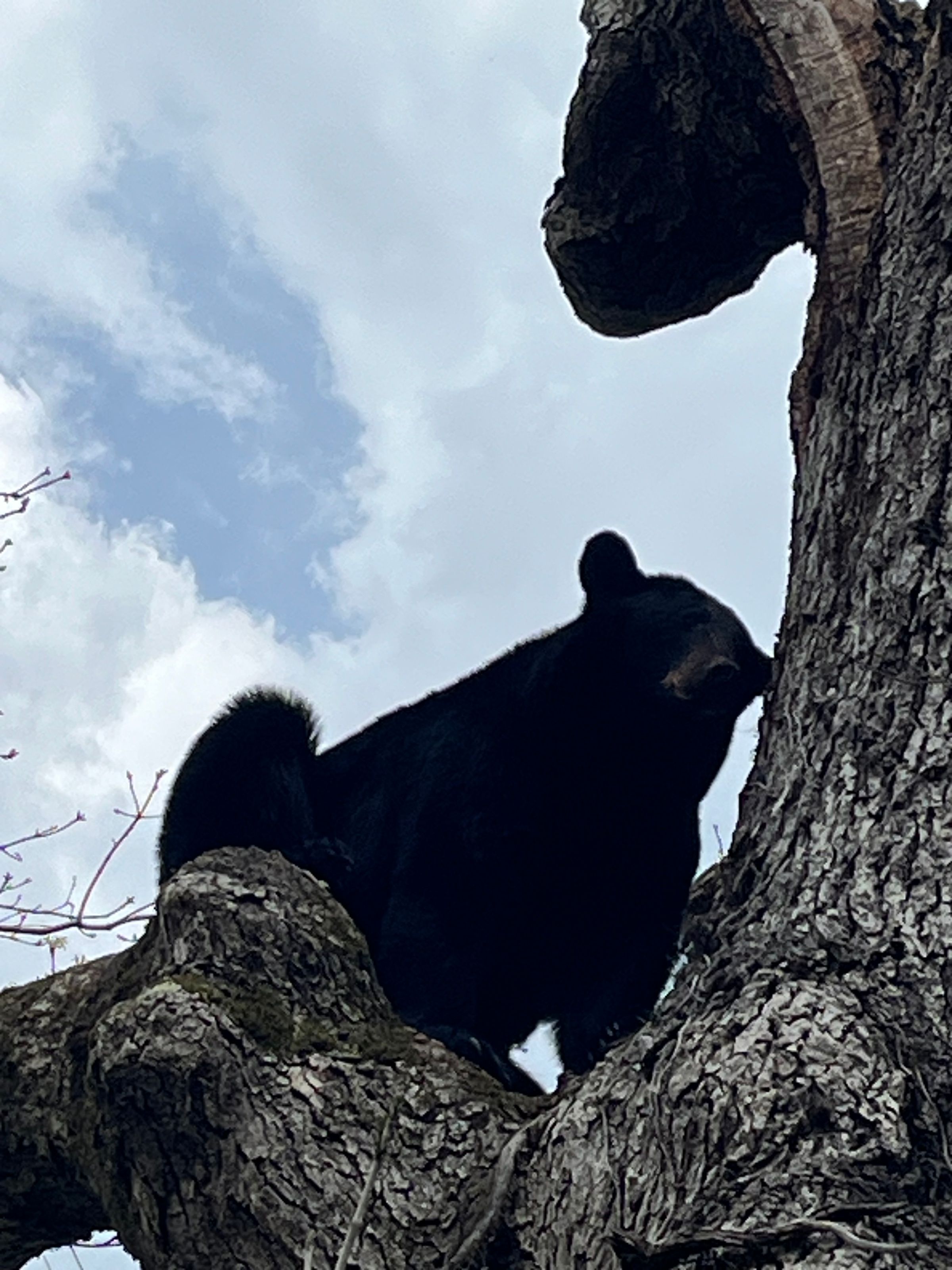 Cades Cove, Townsend TN