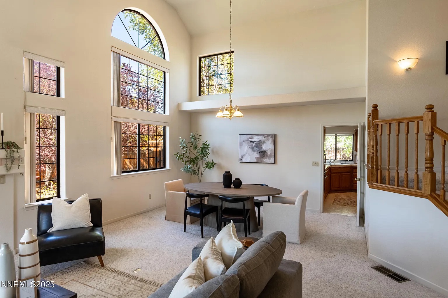 mountain and forest decorating 's image