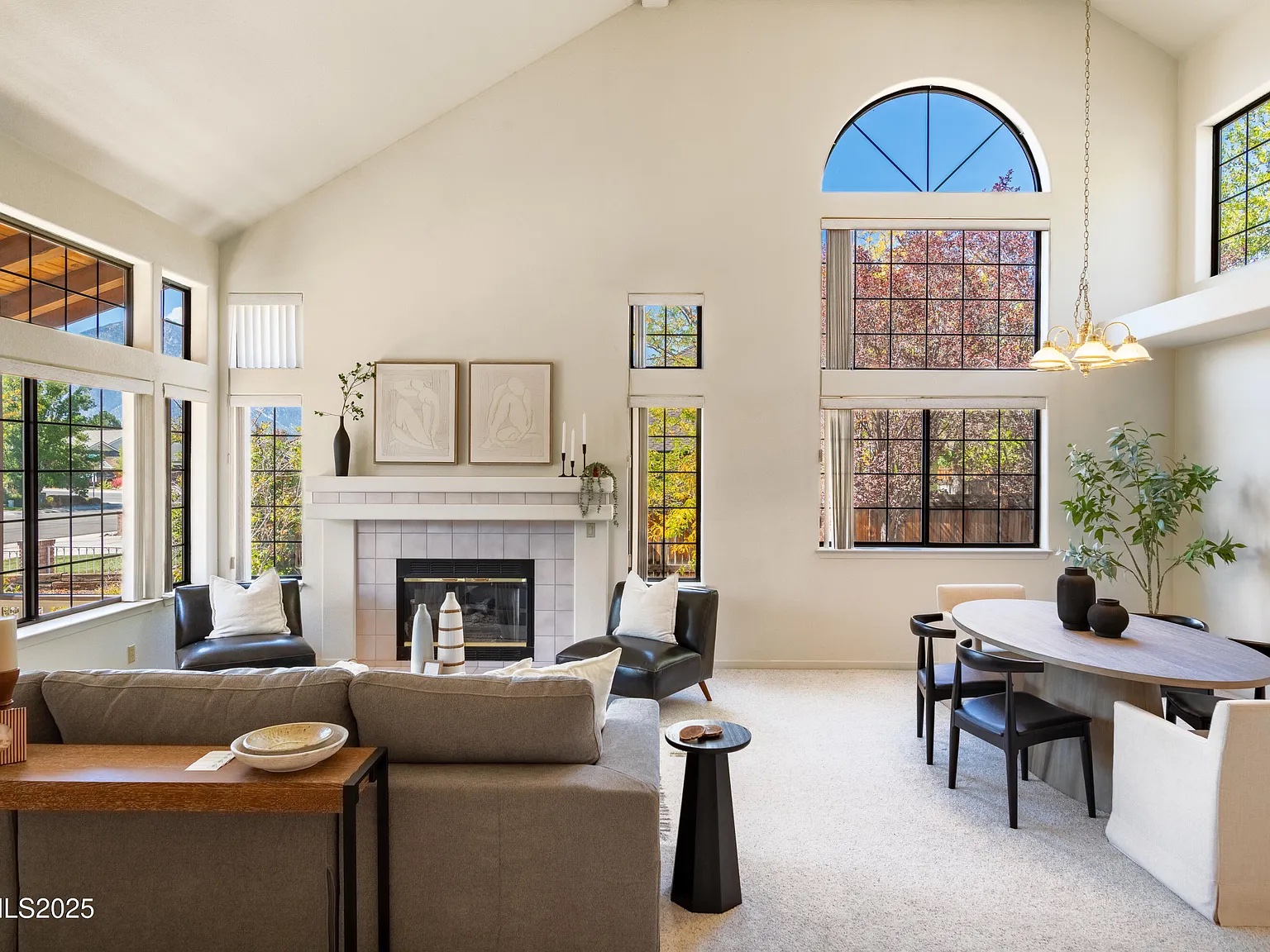 mountain and forest decorating 's image