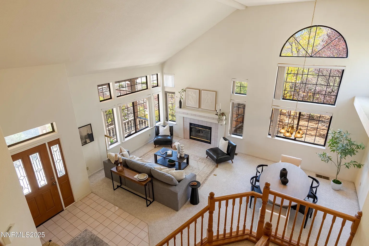 mountain and forest decorating 's image