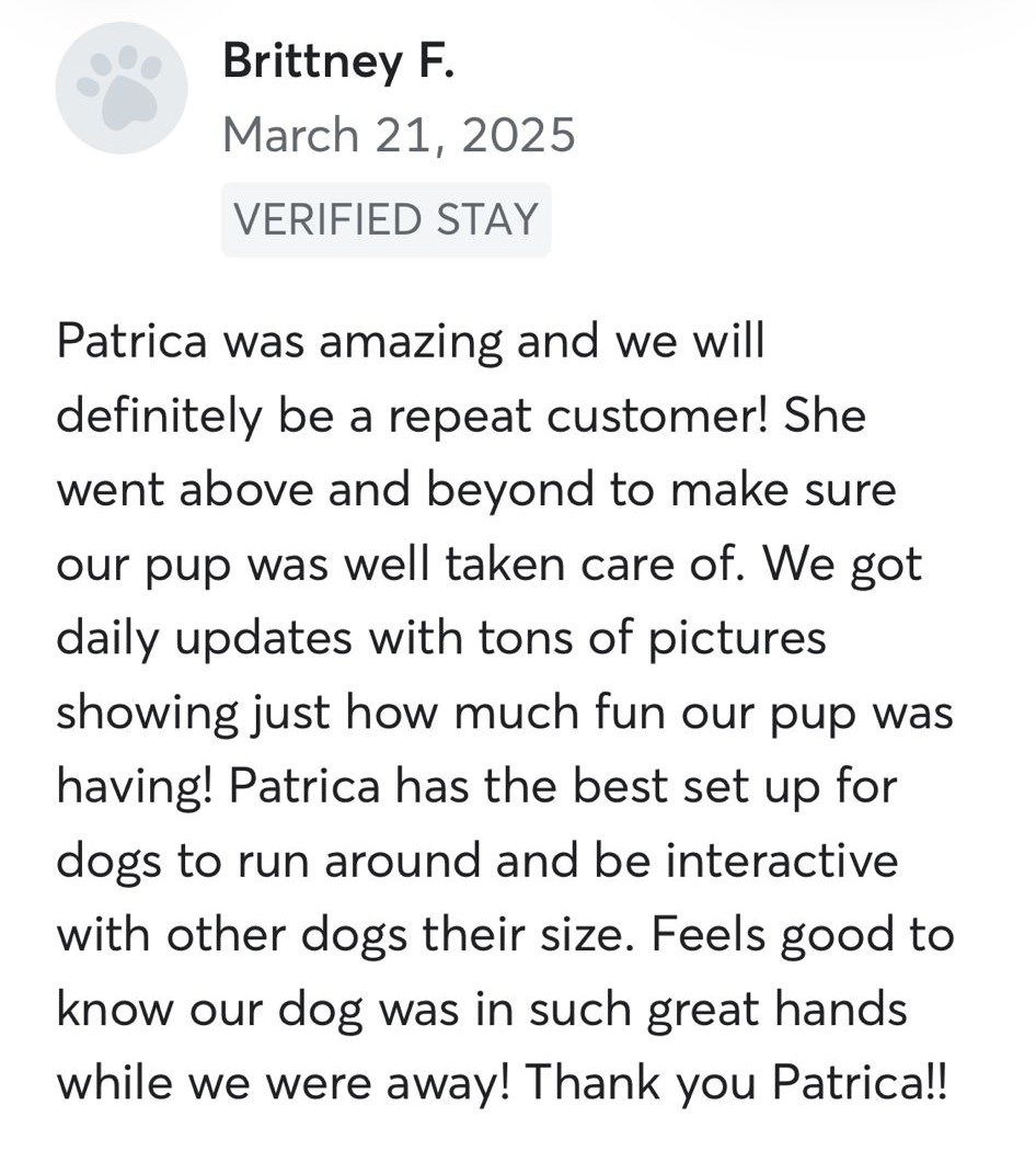 Dog sitting, Dog Boarding, Pet Care's image