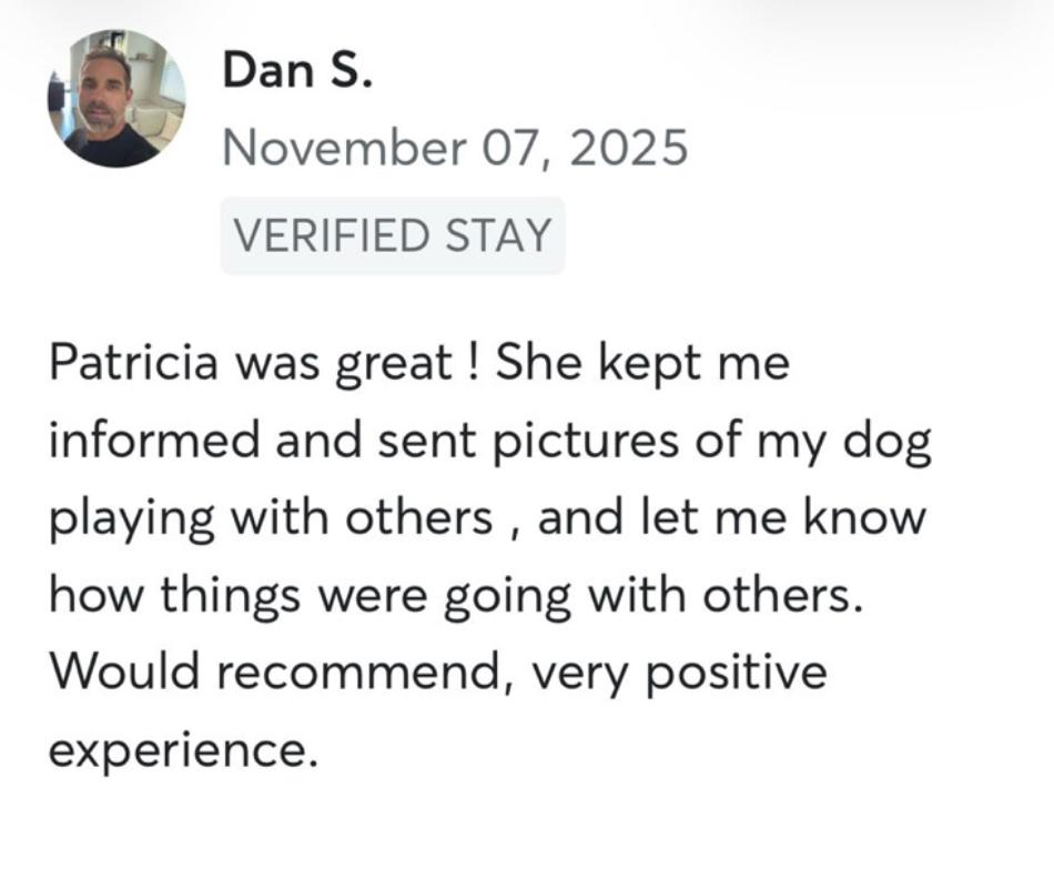 Dog sitting, Dog Boarding, Pet Care's image