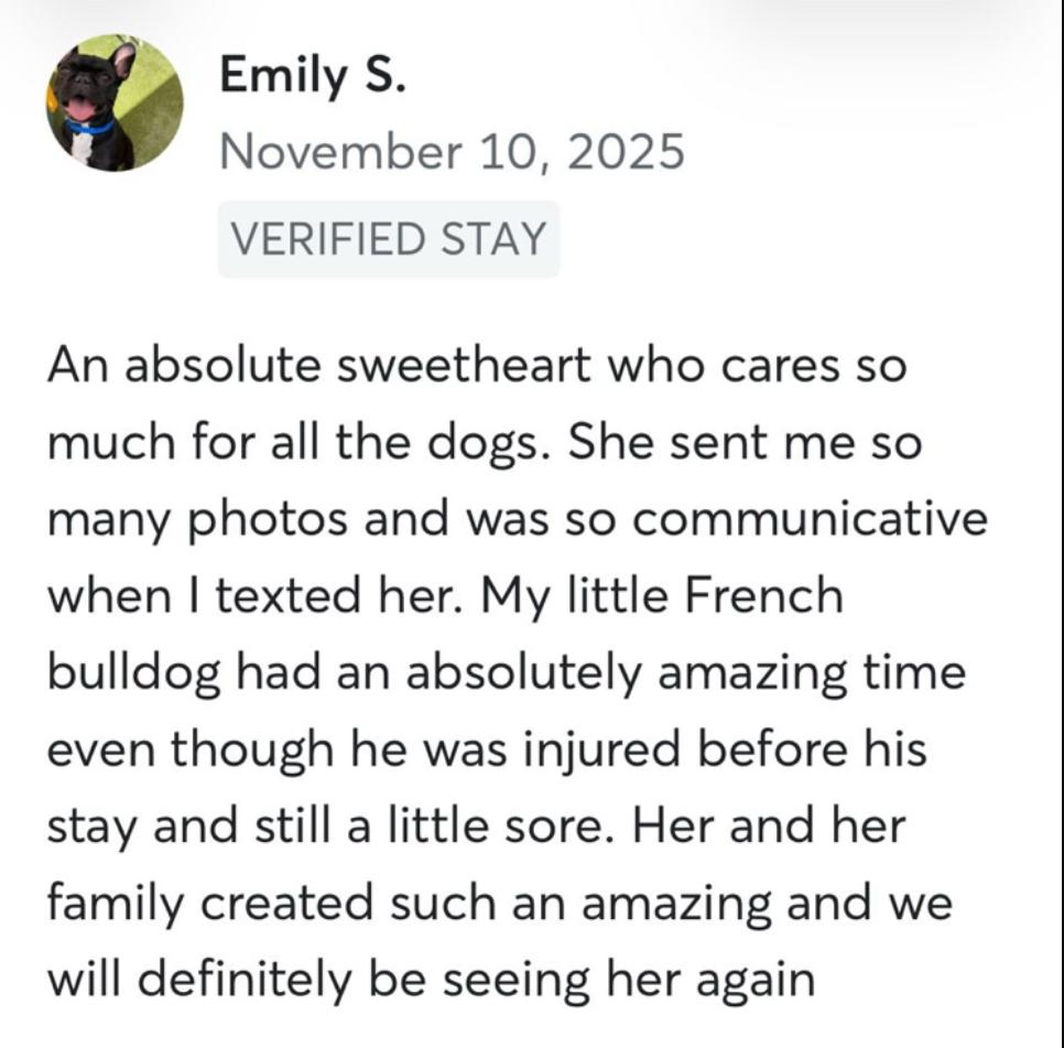 Dog sitting, Dog Boarding, Pet Care's image