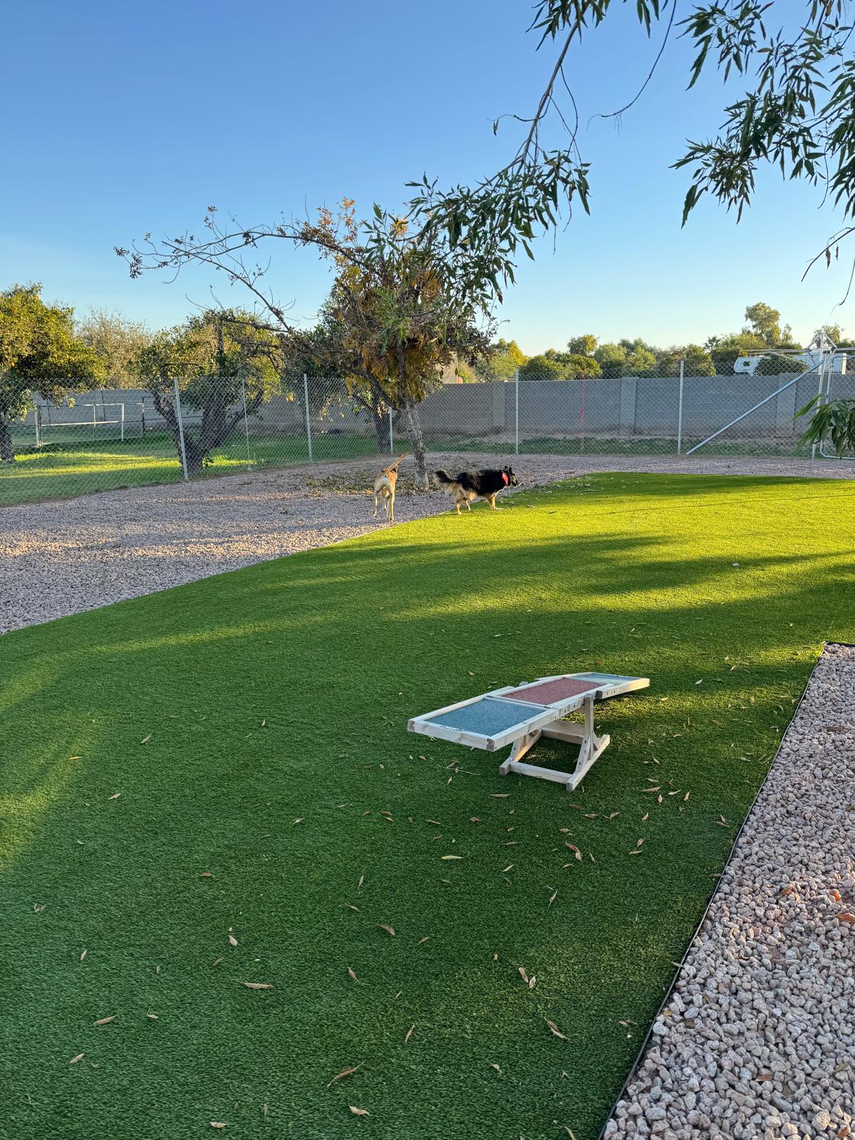 Dog sitting, Dog Boarding, Pet Care's image