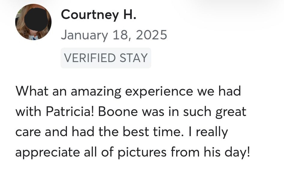 Dog sitting, Dog Boarding, Pet Care's image