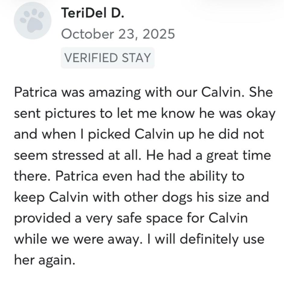 Dog sitting, Dog Boarding, Pet Care's image