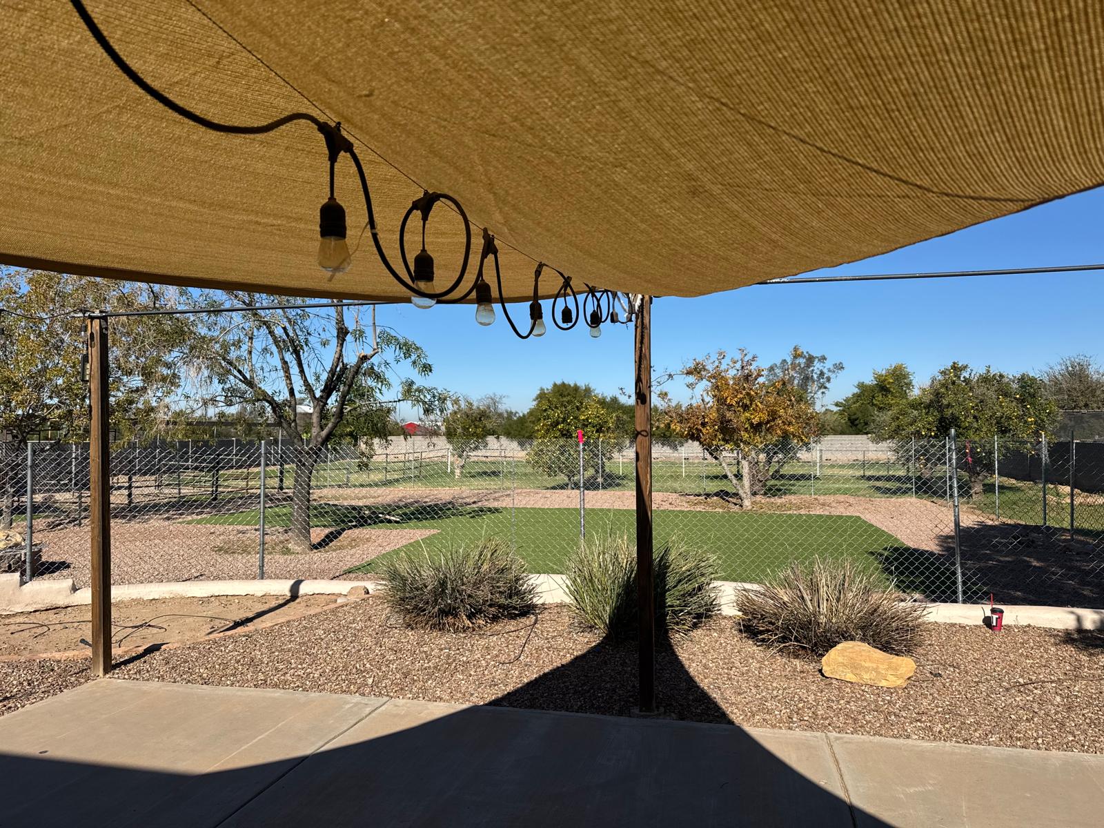 Dog sitting, Dog Boarding, Pet Care's image