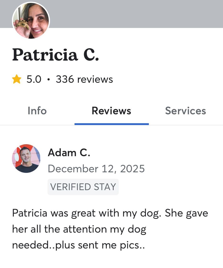 Dog sitting, Dog Boarding, Pet Care's image