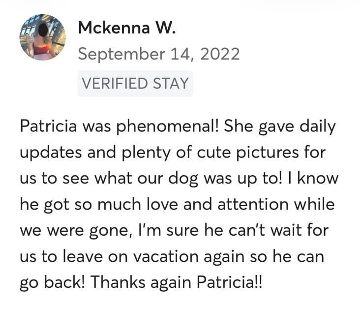 Dog sitting, Dog Boarding, Pet Care's image