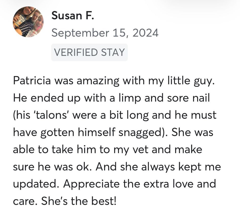 Dog sitting, Dog Boarding, Pet Care's image