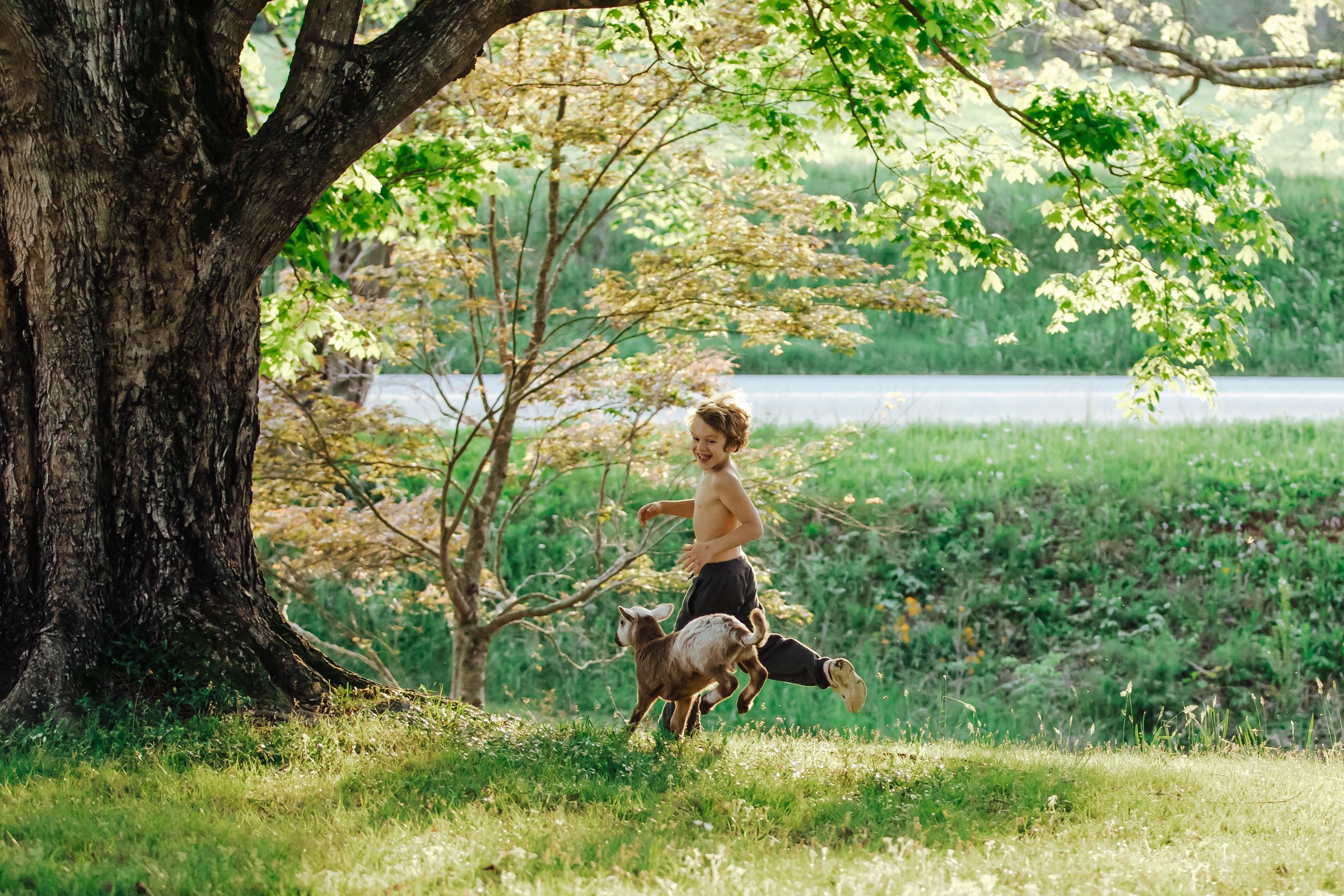 PECAN PASTURES's image