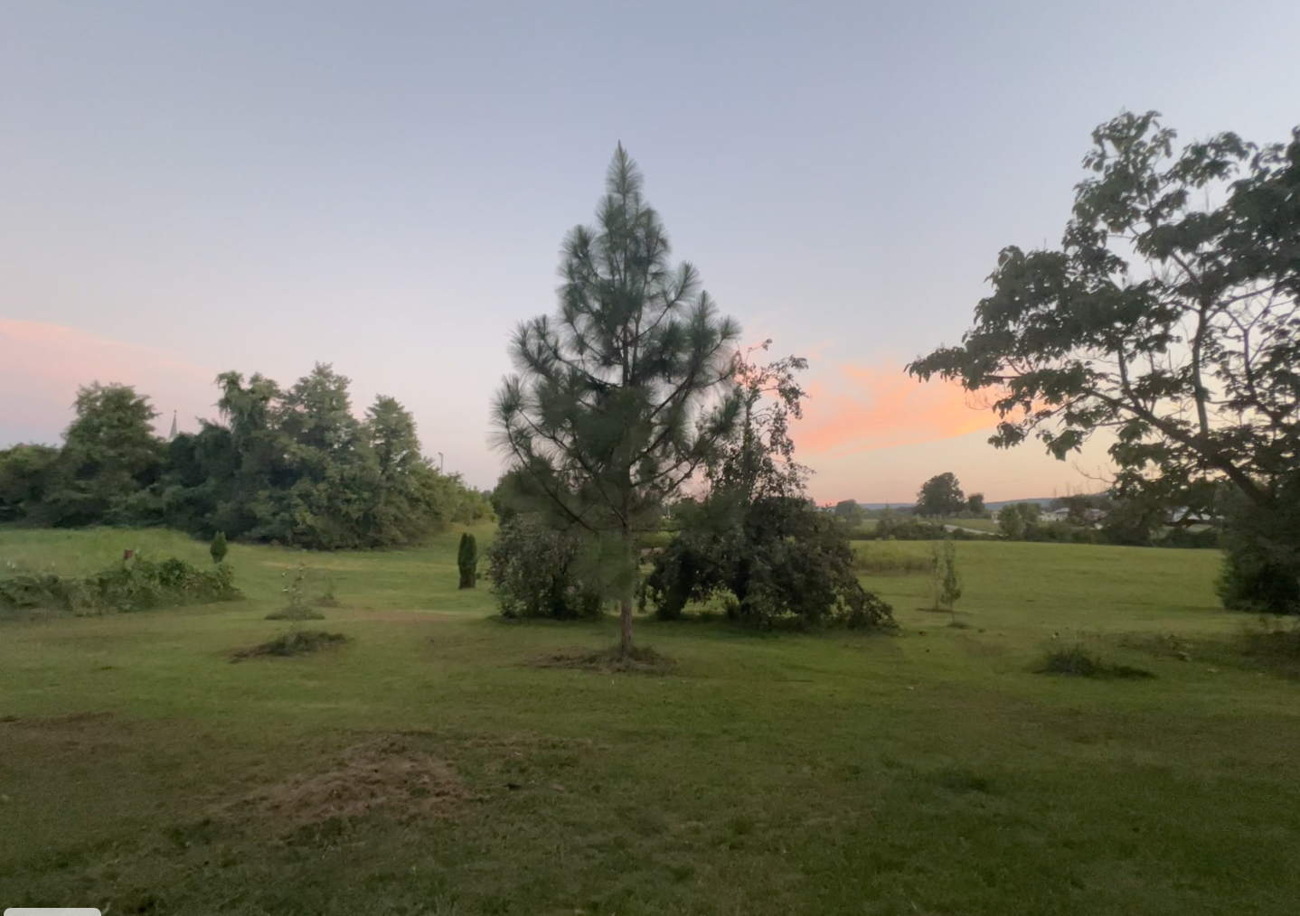 PECAN PASTURES's image