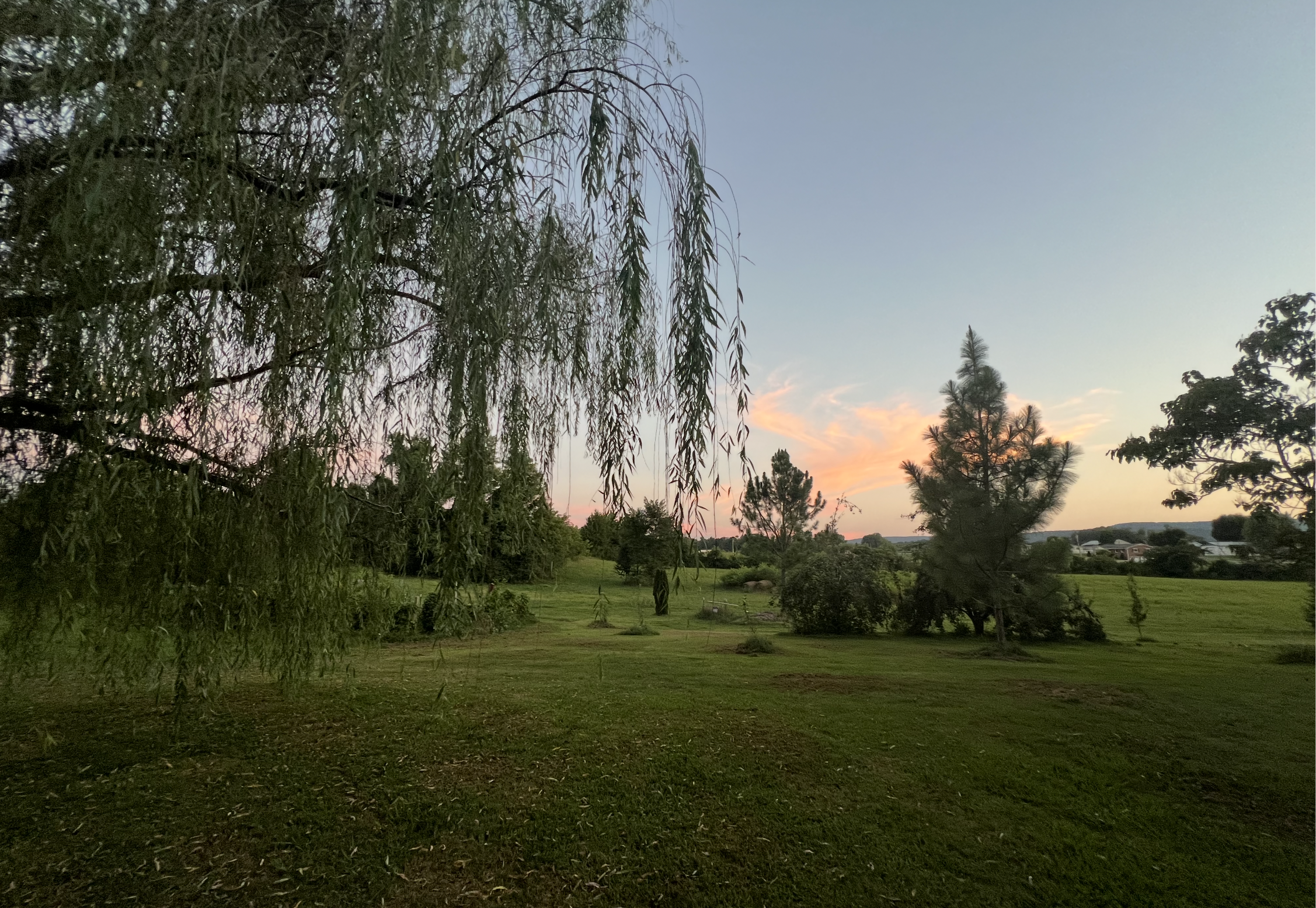 PECAN PASTURES's image
