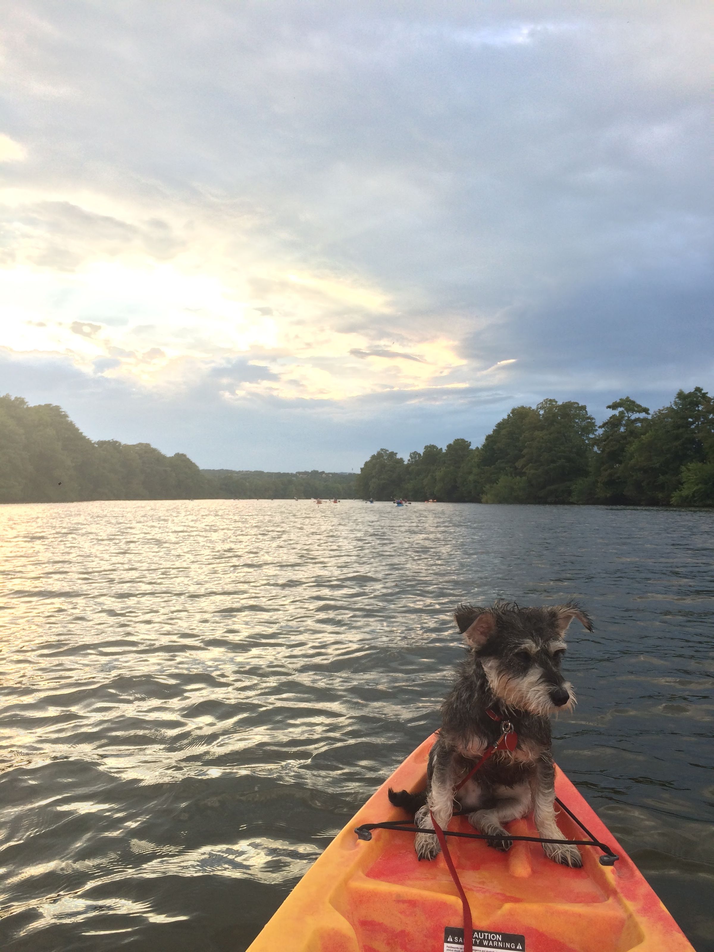 Adventure Pups 's image