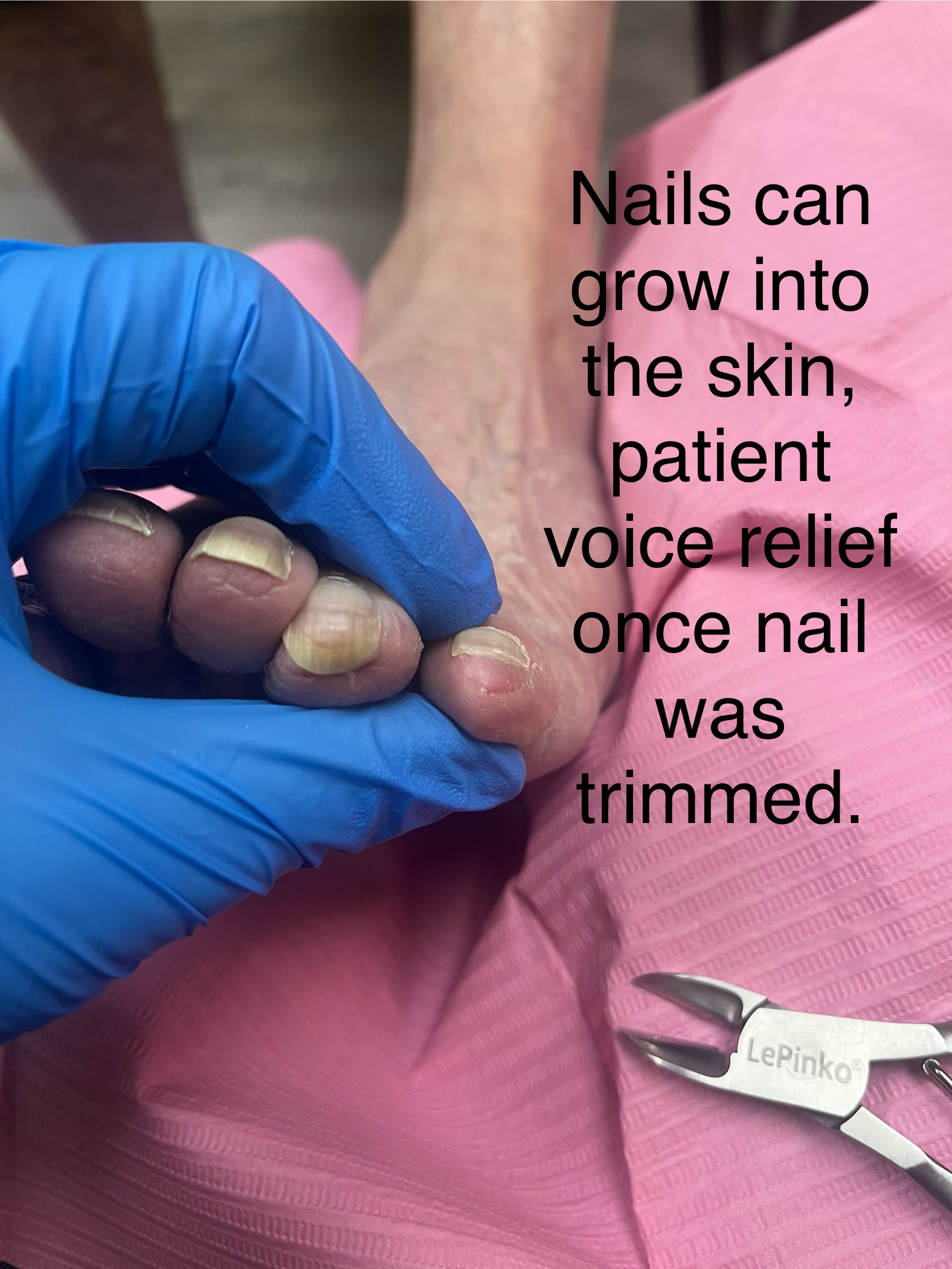 Mandy Venable RN, CFCS's image
