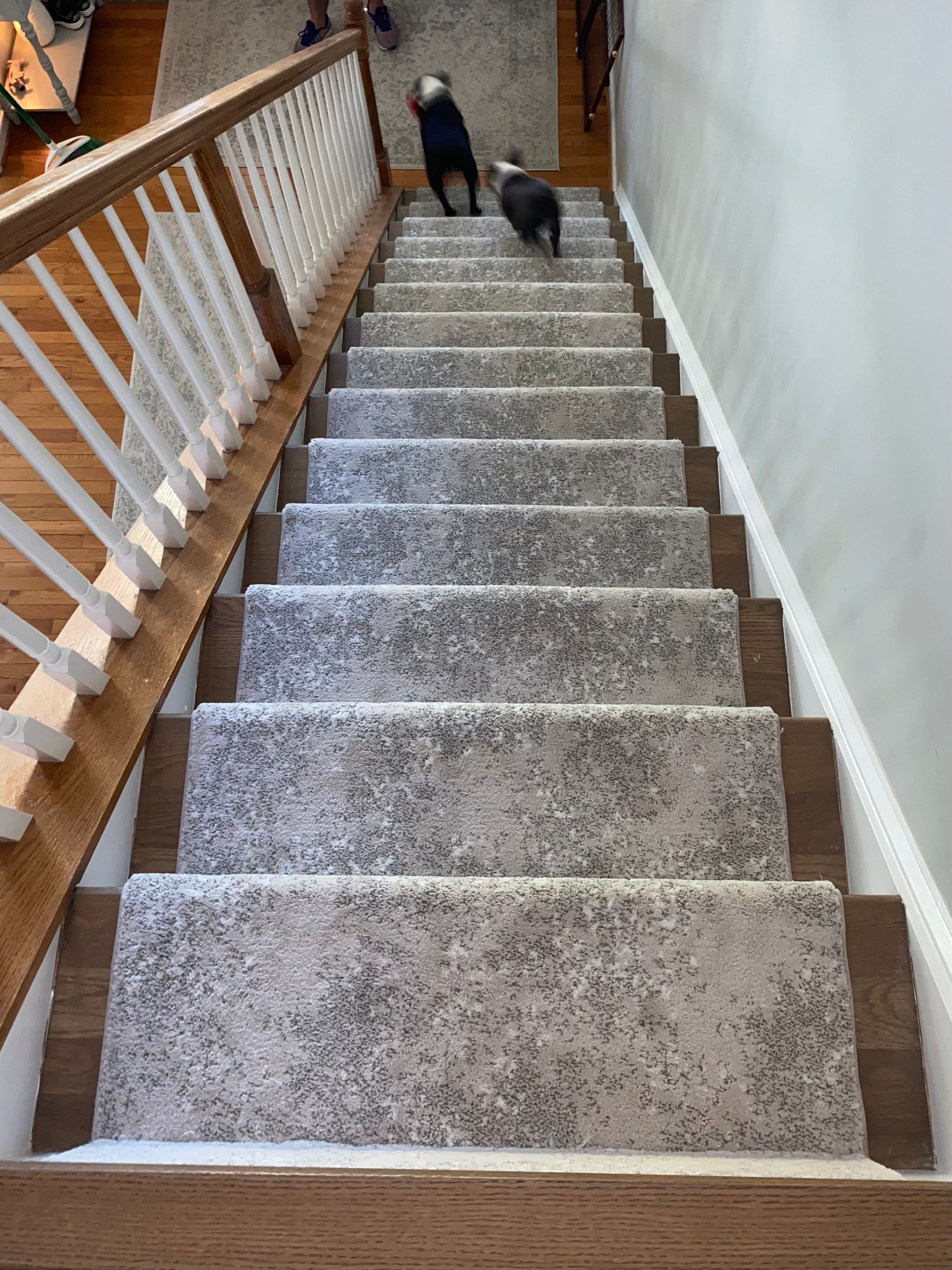 AMMCFLOORINGLLC | Flooring & Carpet Installation in Virginia's image