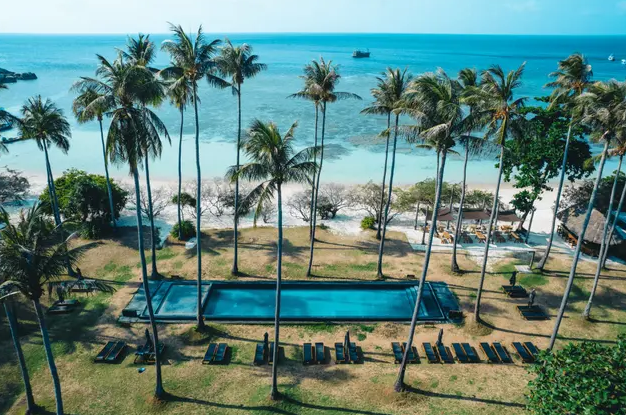 Landing Page Narval's image