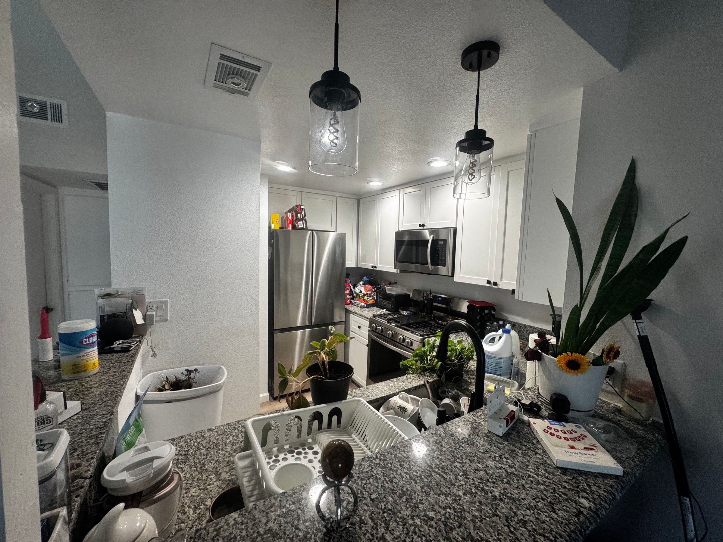 Big Dawg Property Solutions 's image