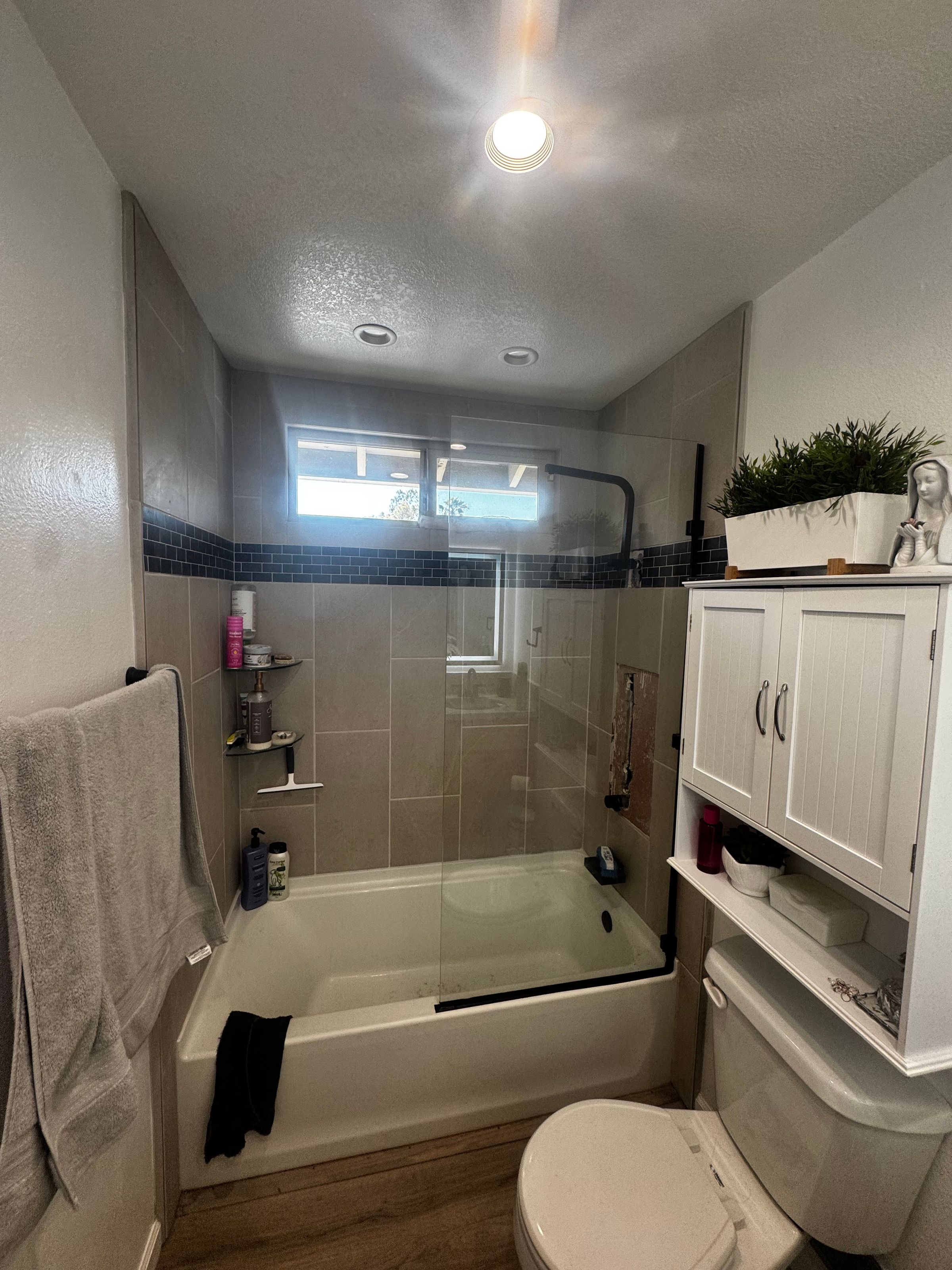 Big Dawg Property Solutions 's image