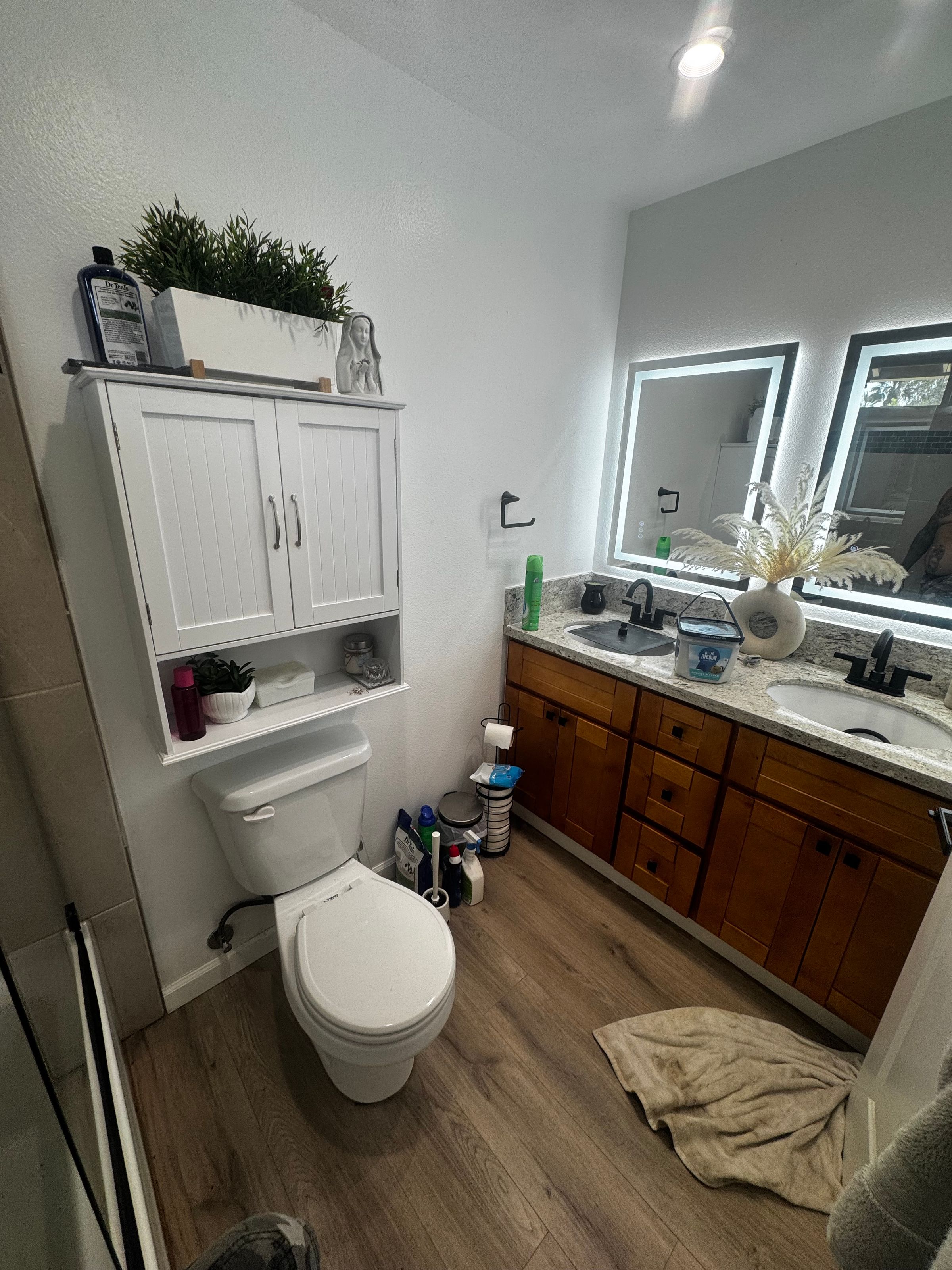 Big Dawg Property Solutions 's image