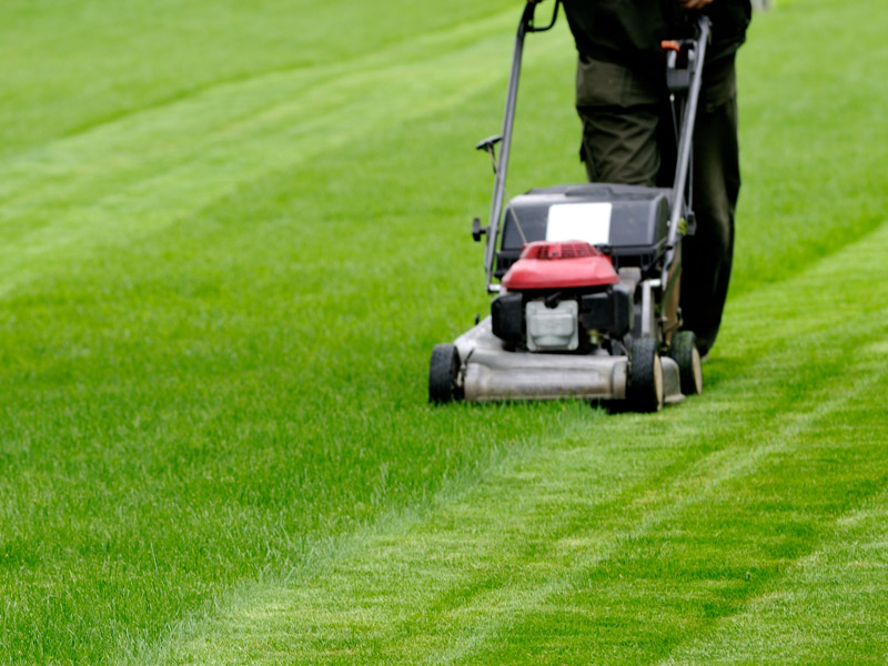 Tibbs Mowing | Lawn & Gardening Maintenance in Cairns's image