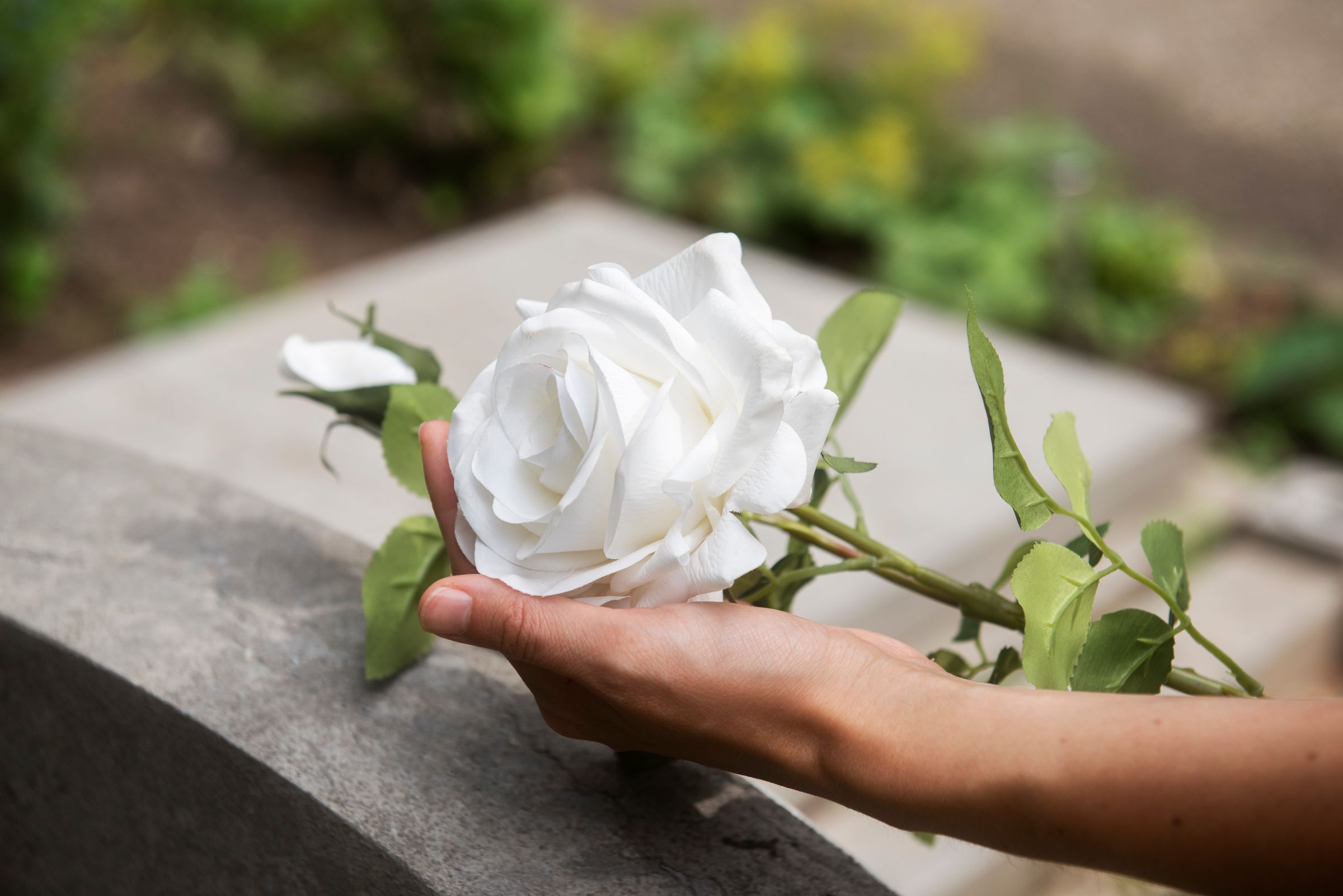 Cherished Heart Celebrant - Andrew Newbound's image