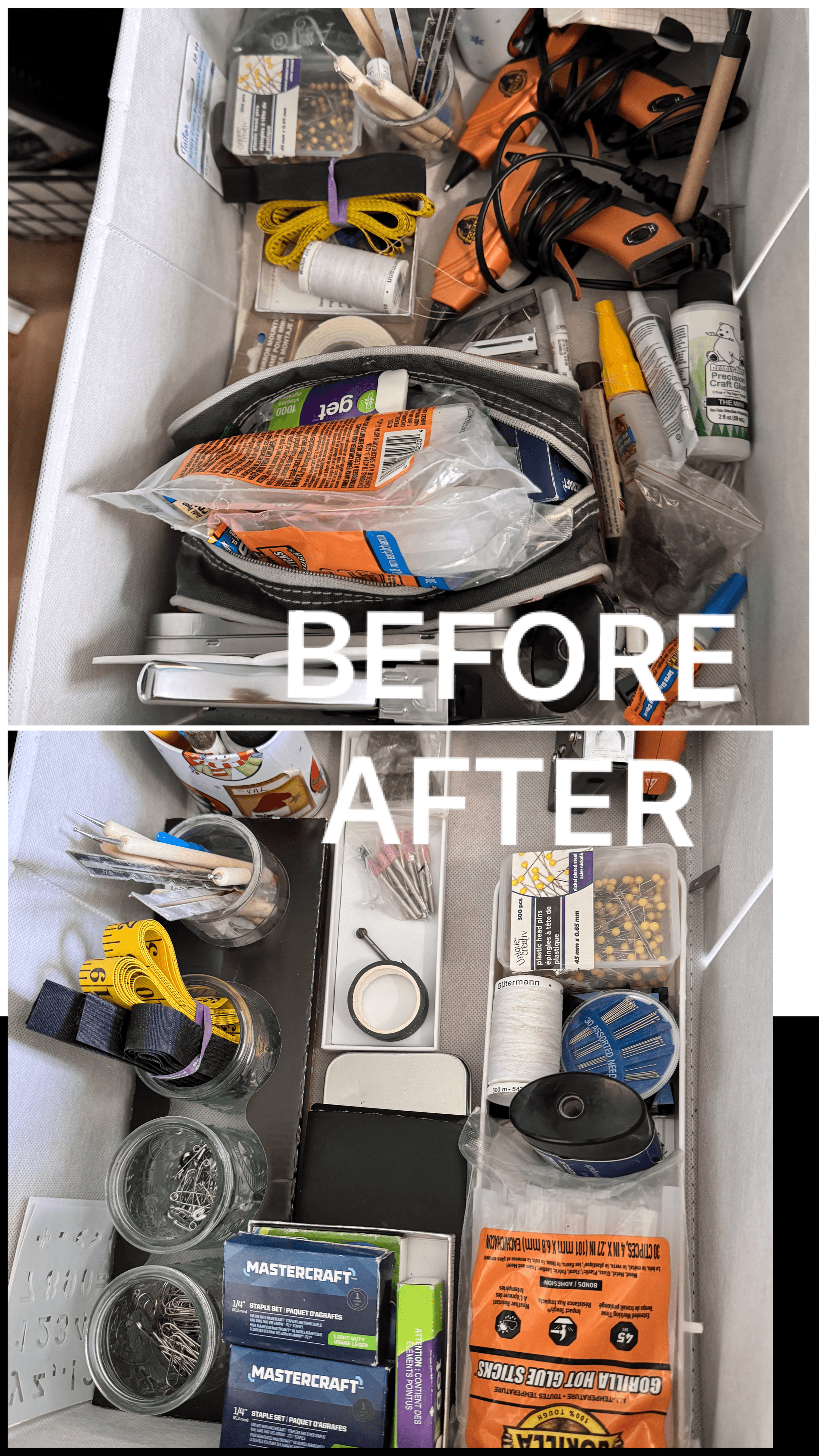 SORTED OASIS's image