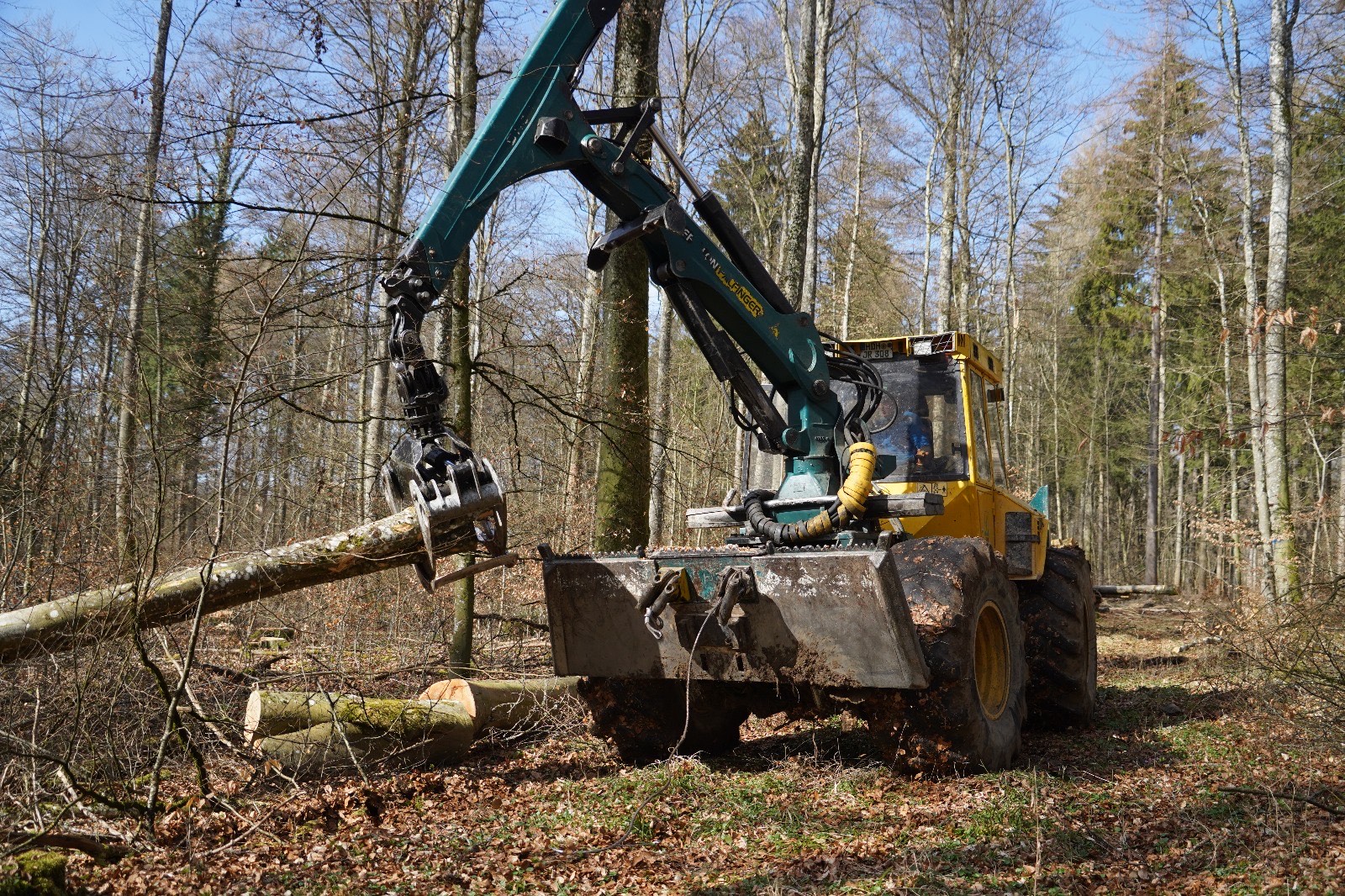 Forstbetrieb Hagstotz 's image