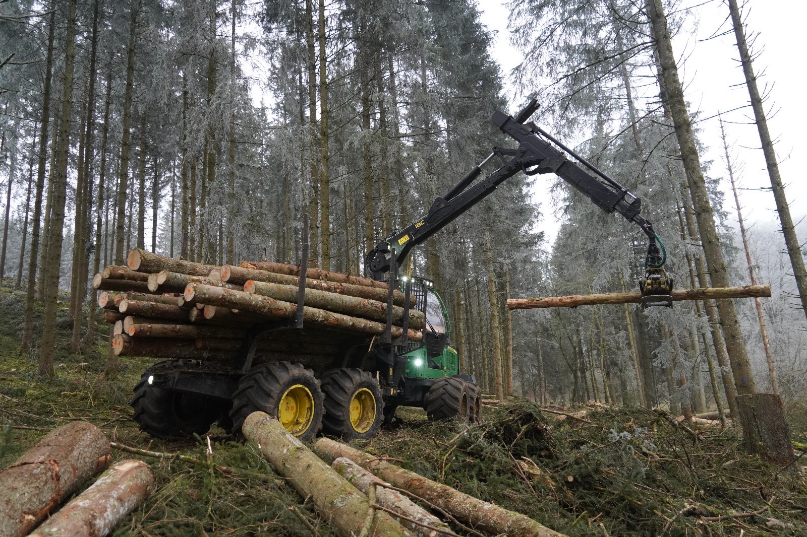 Forstbetrieb Hagstotz 's image