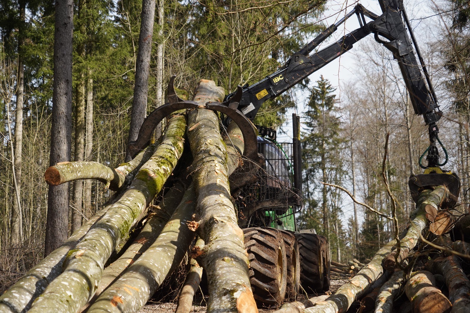 Forstbetrieb Hagstotz 's image