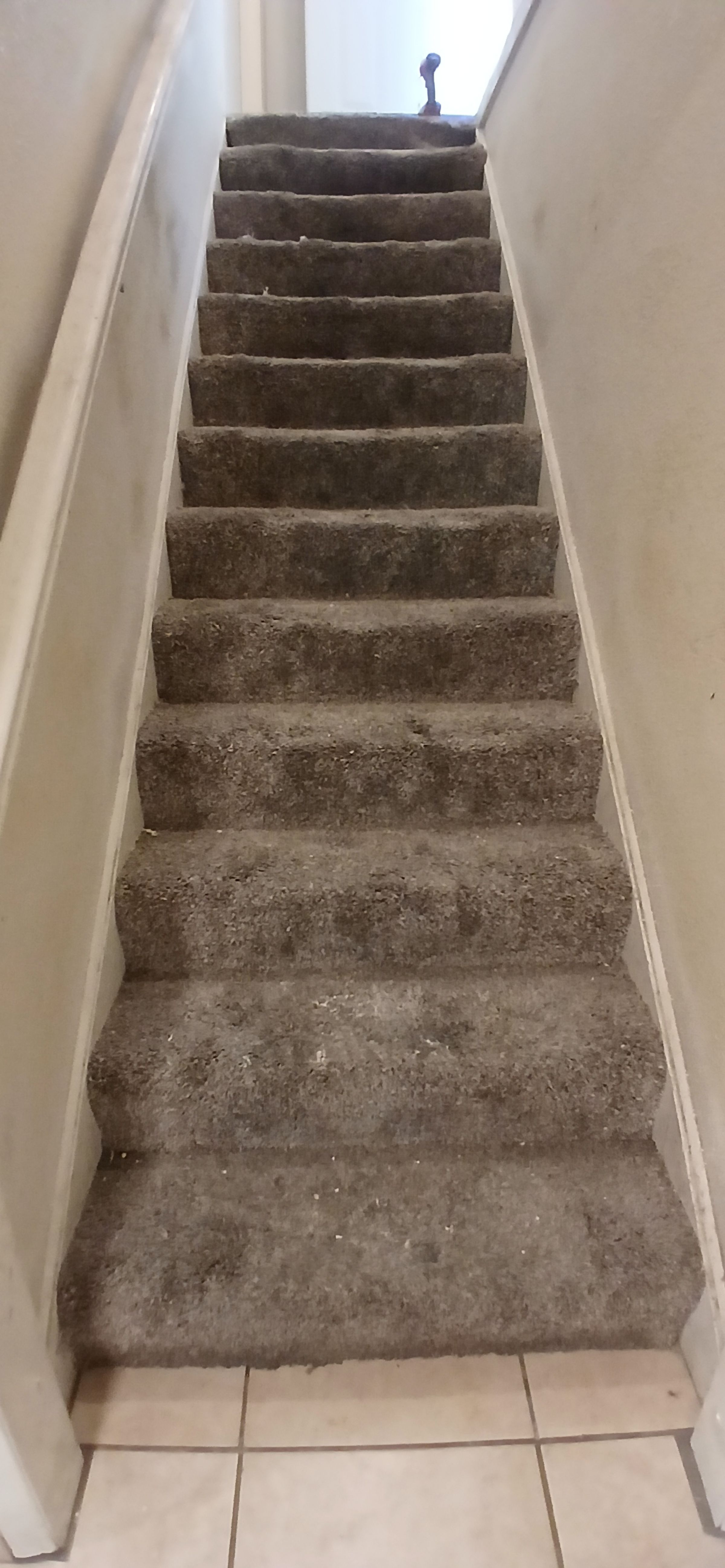 ShabellaR.llc's image