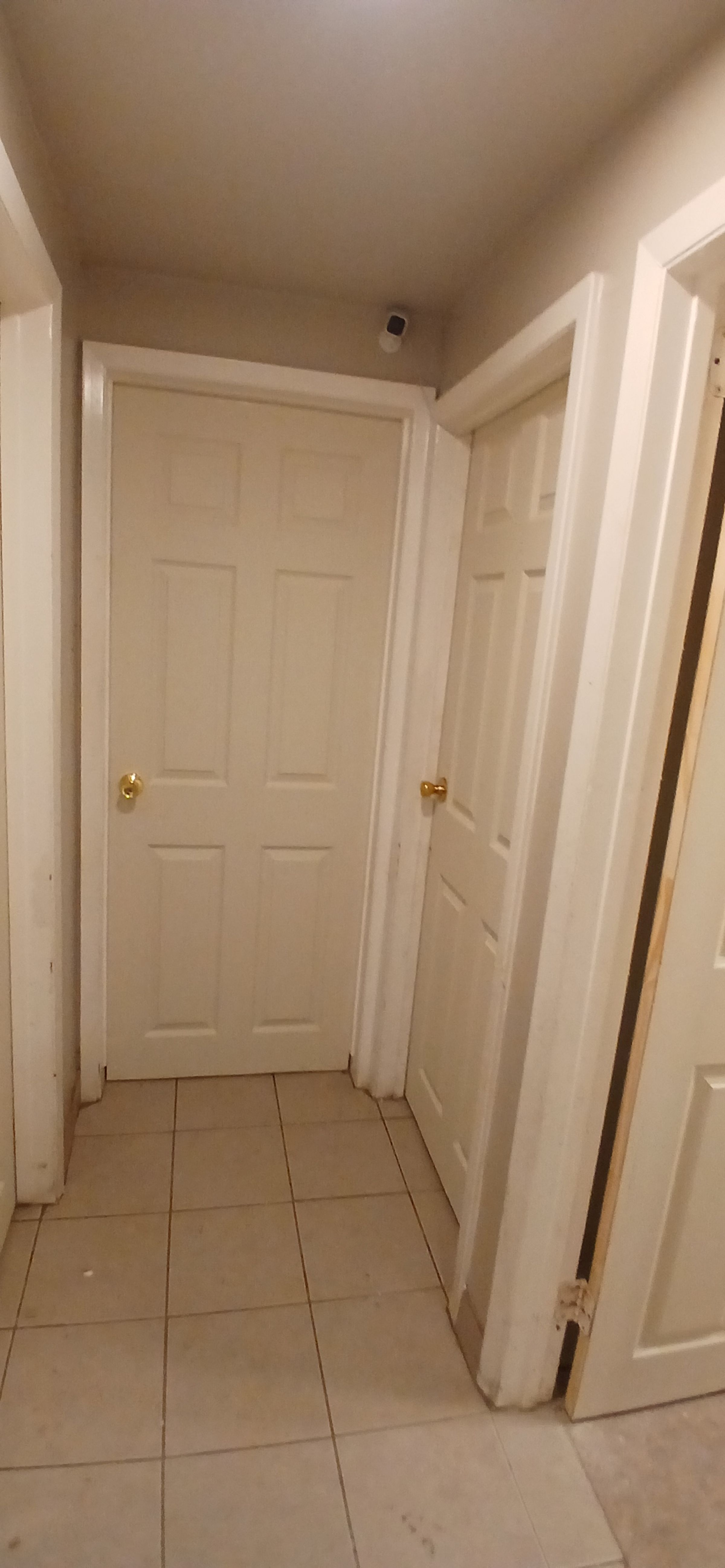 ShabellaR.llc's image