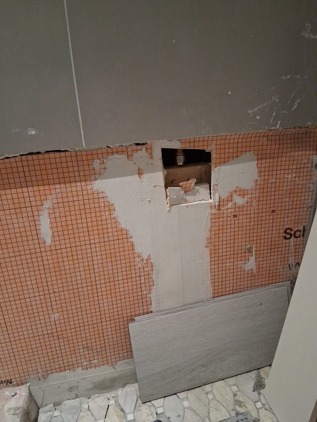 ShabellaR.llc's image