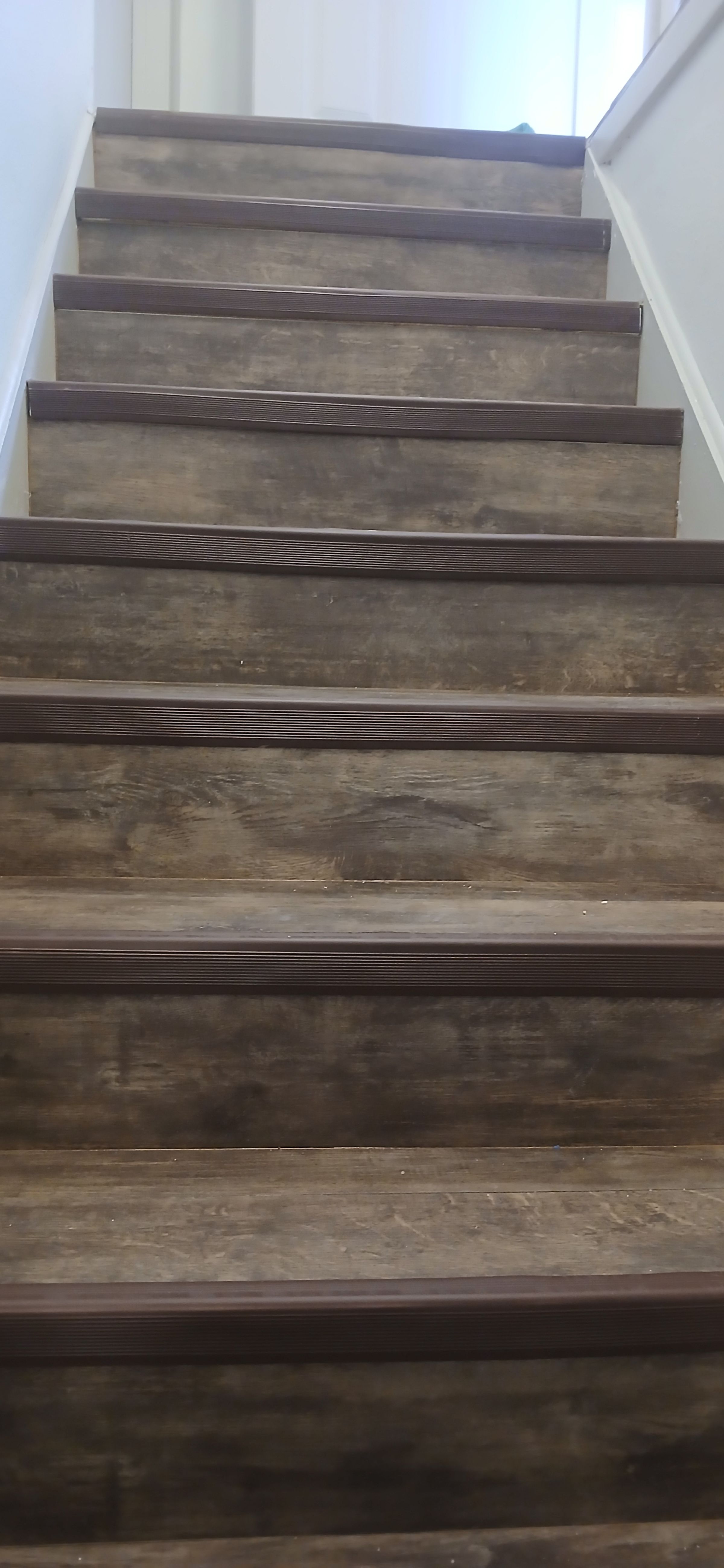 ShabellaR.llc's image