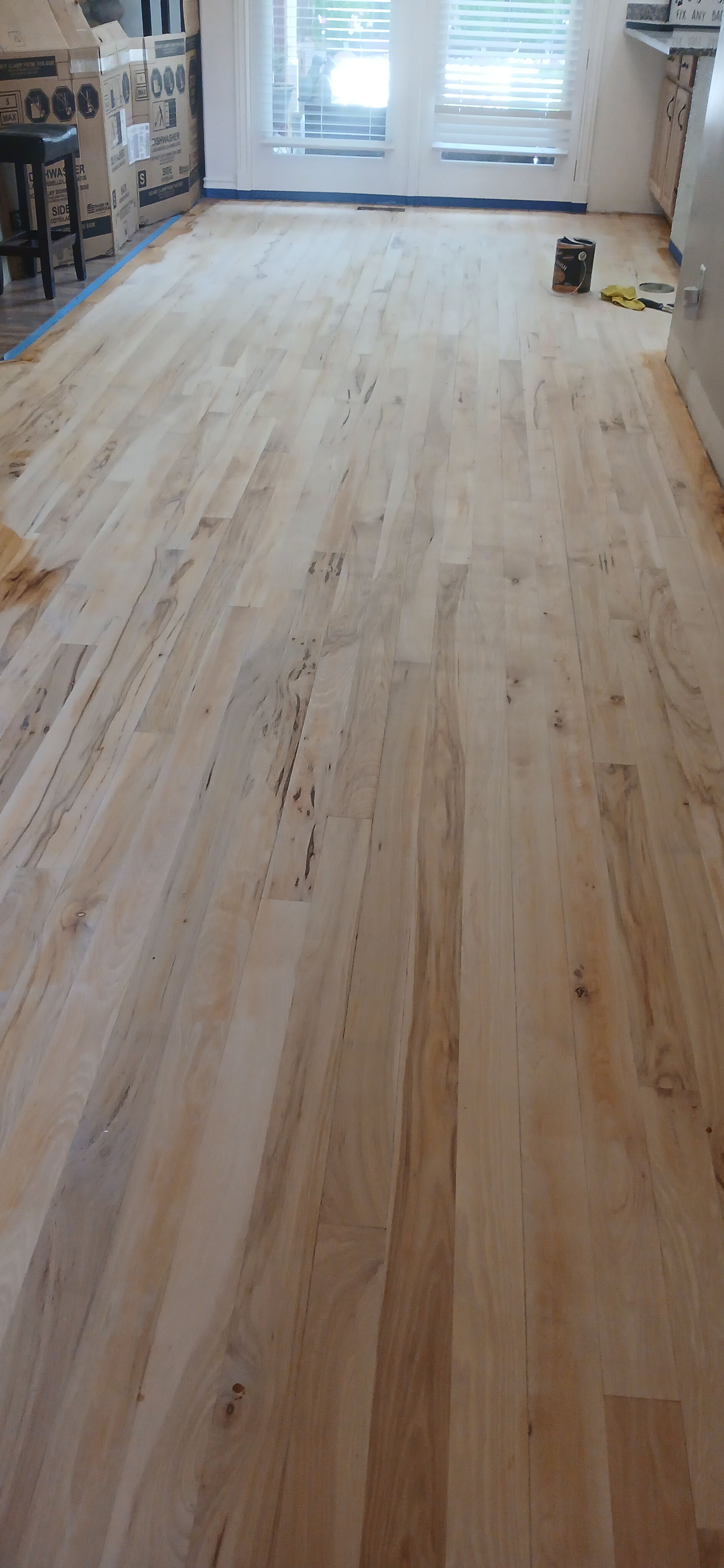 ShabellaR.llc's image