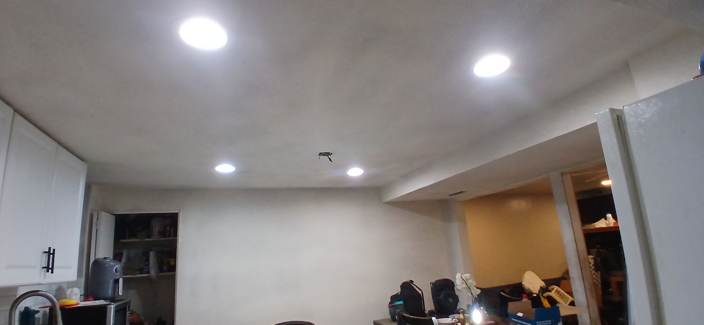 ShabellaR.llc's image