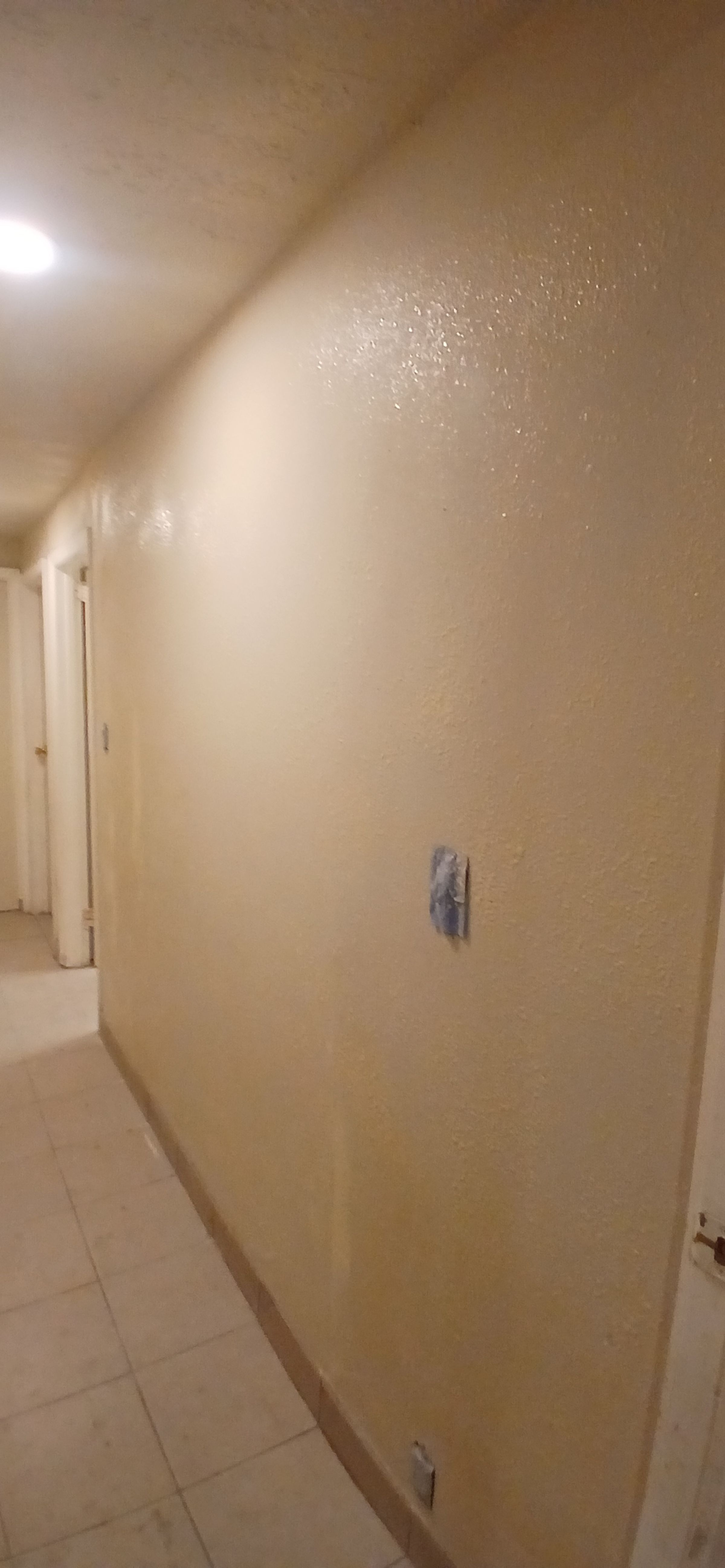 ShabellaR.llc's image