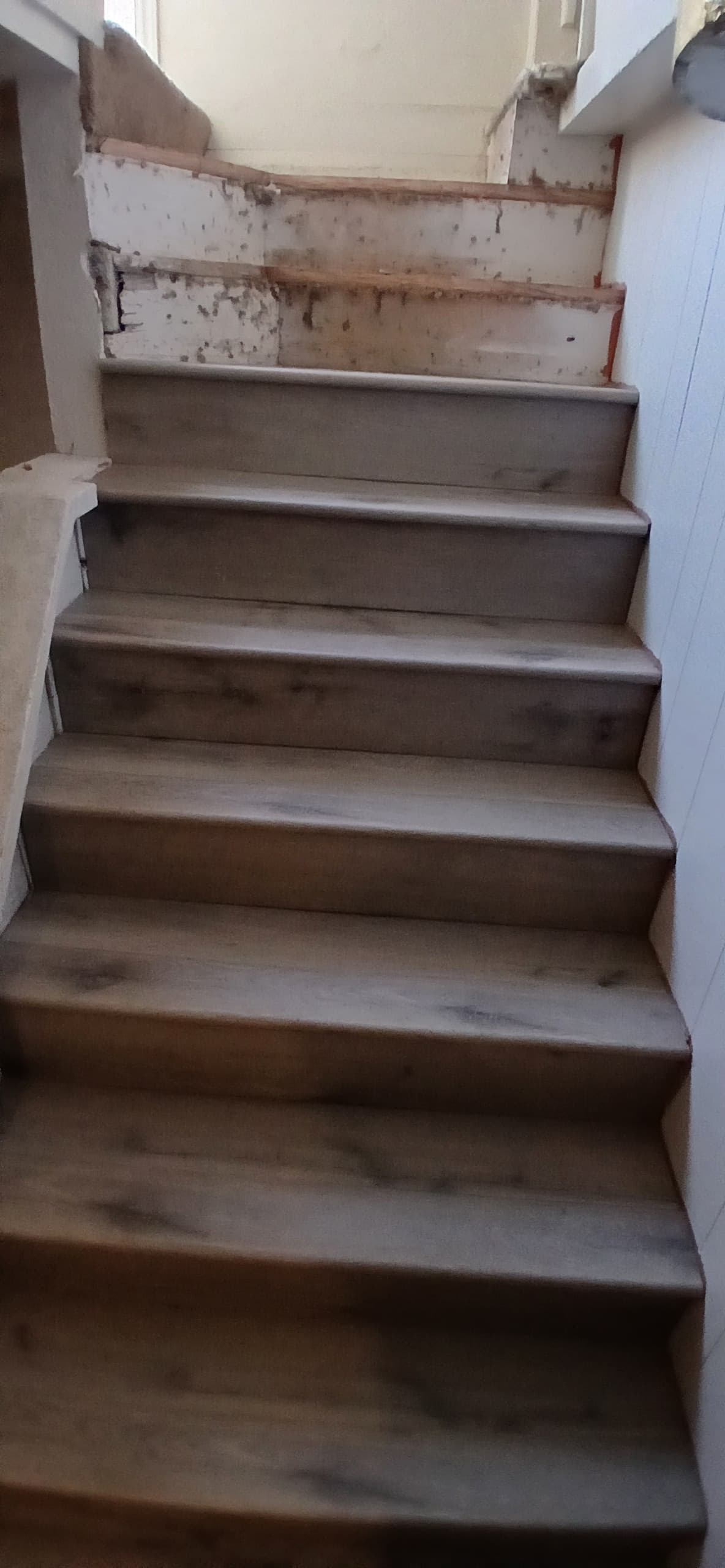 ShabellaR.llc's image