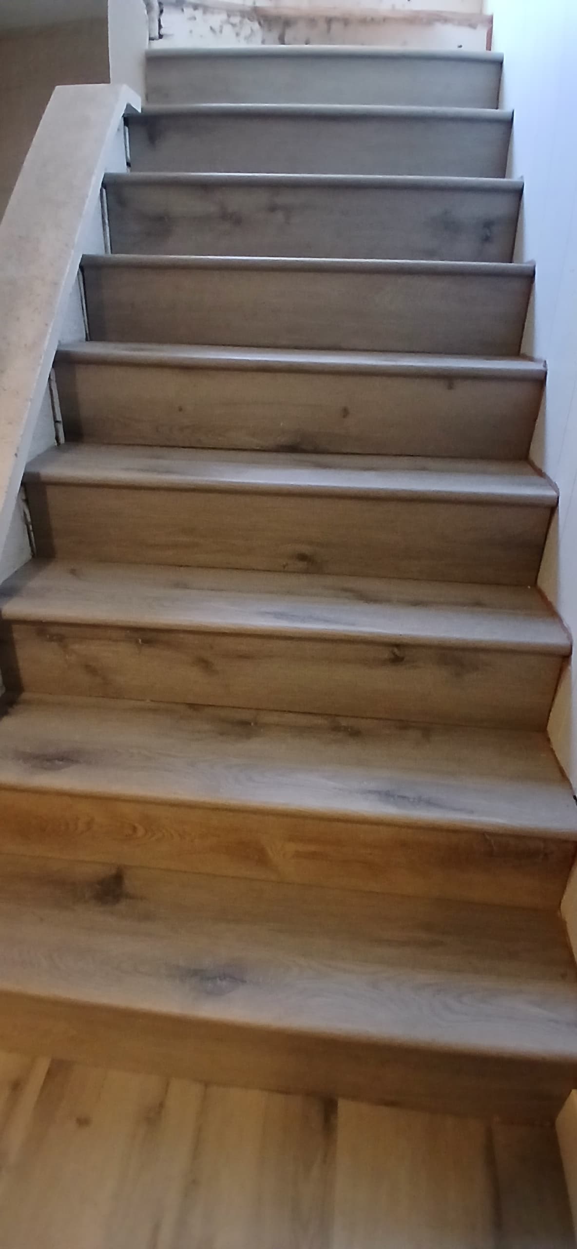 ShabellaR.llc's image