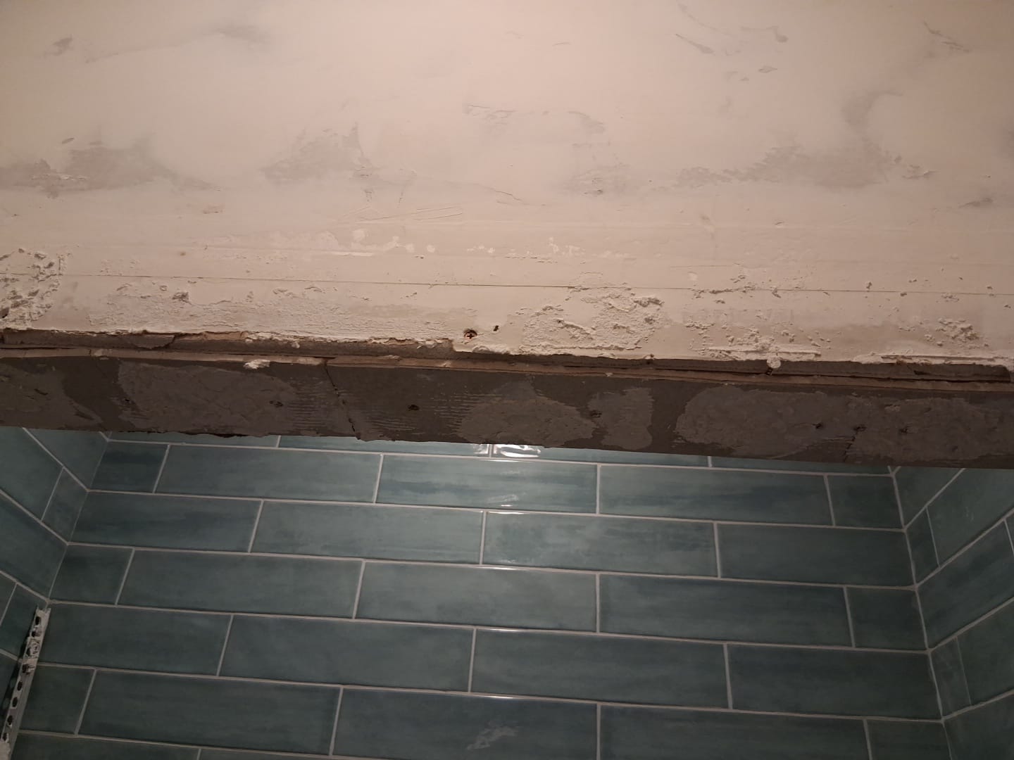 ShabellaR.llc's image