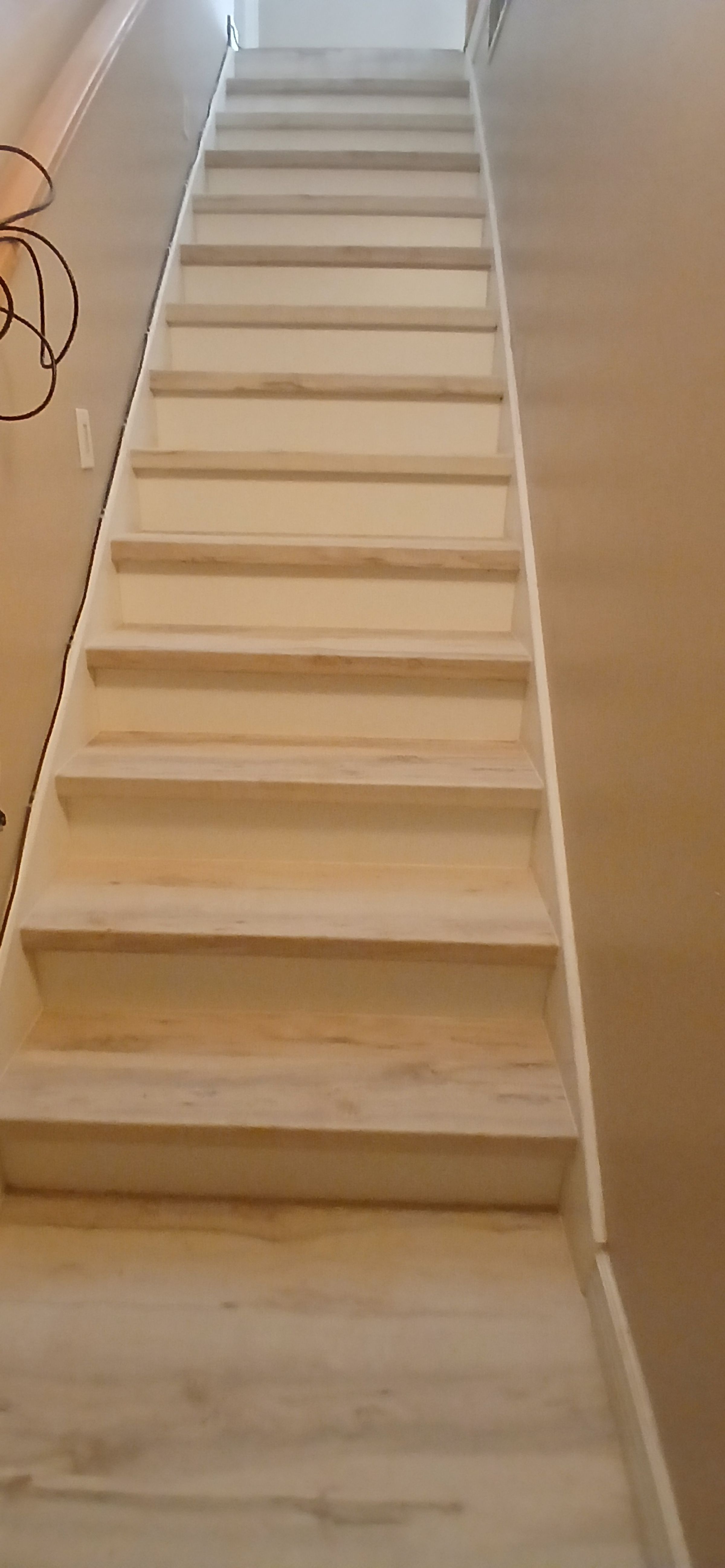 ShabellaR.llc's image