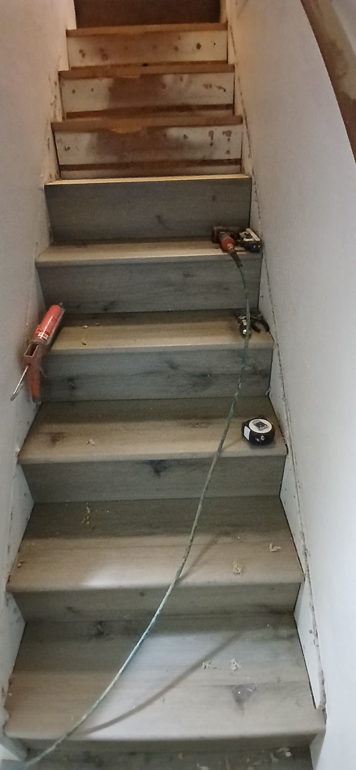 ShabellaR.llc's image