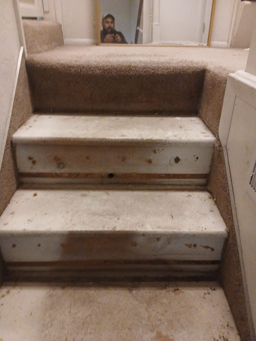 ShabellaR.llc's image